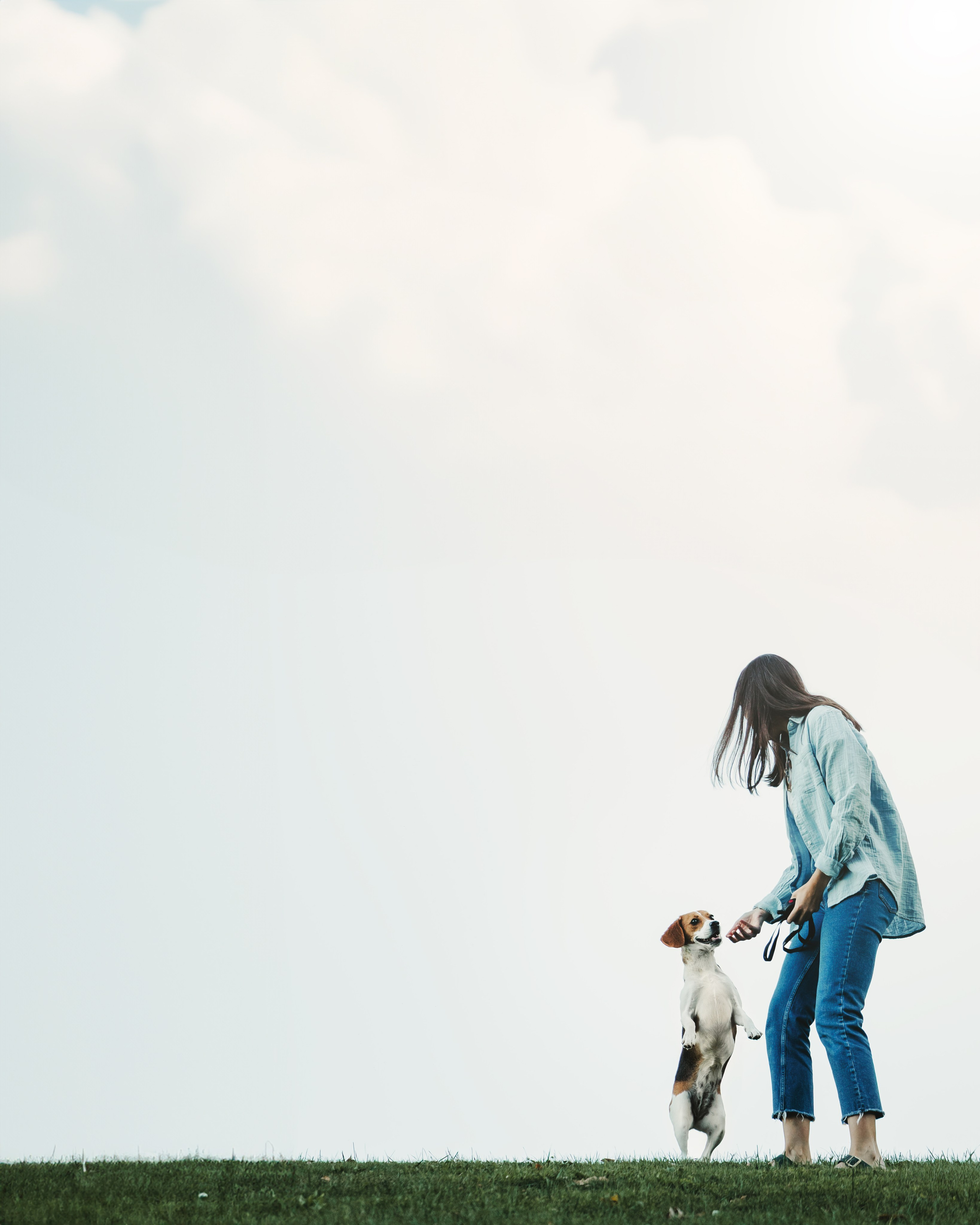 Maxine & Sarah. Pet Photographer Viktoriya Aleshenko