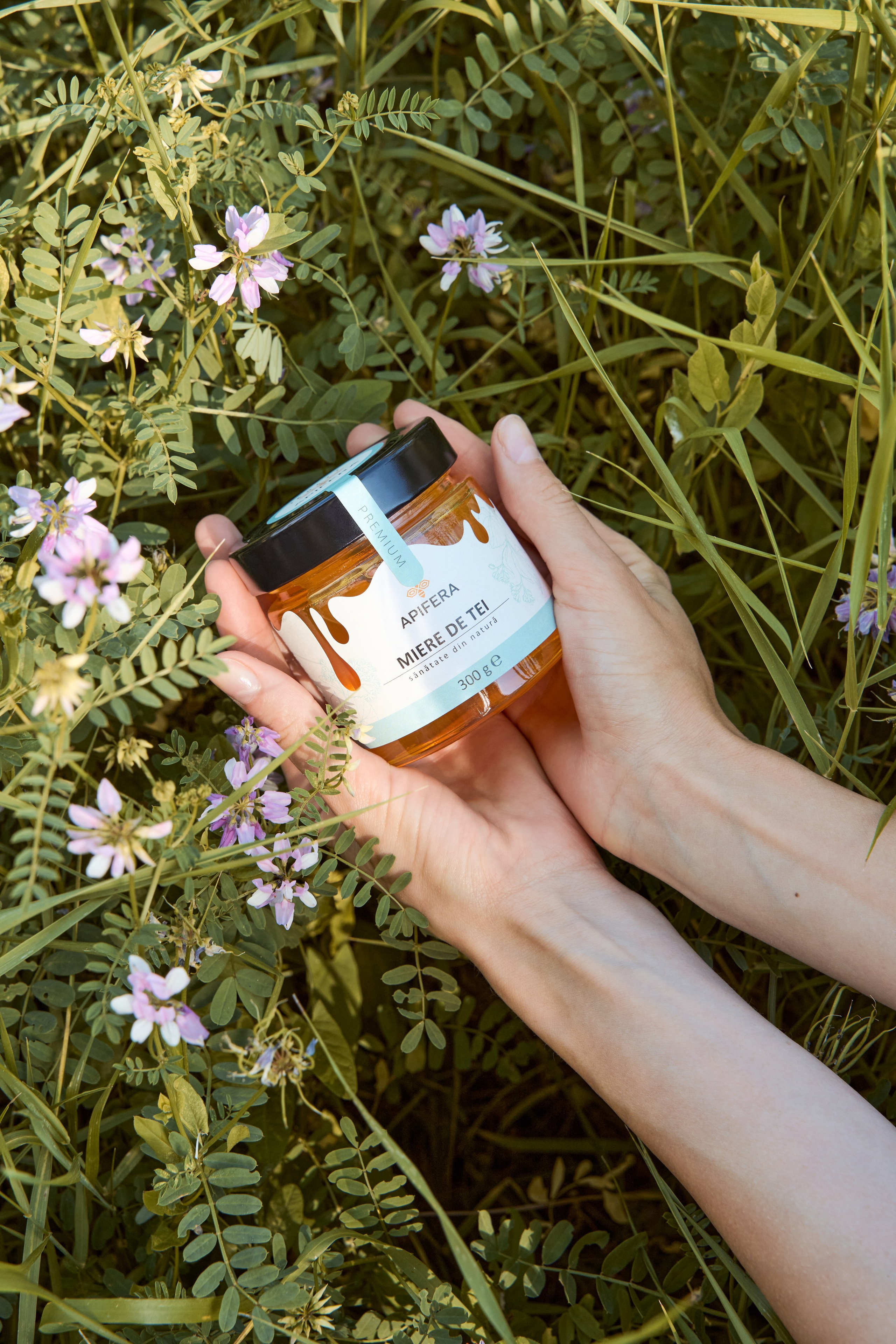 Apifera. Привет