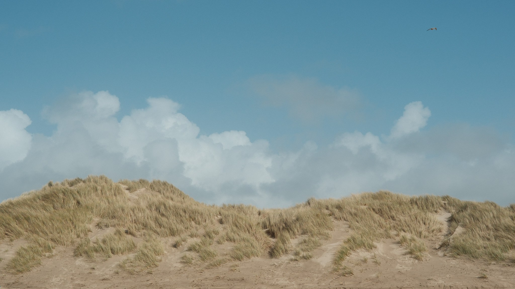 Wales Road Trip 2026. Callum Ecobichon