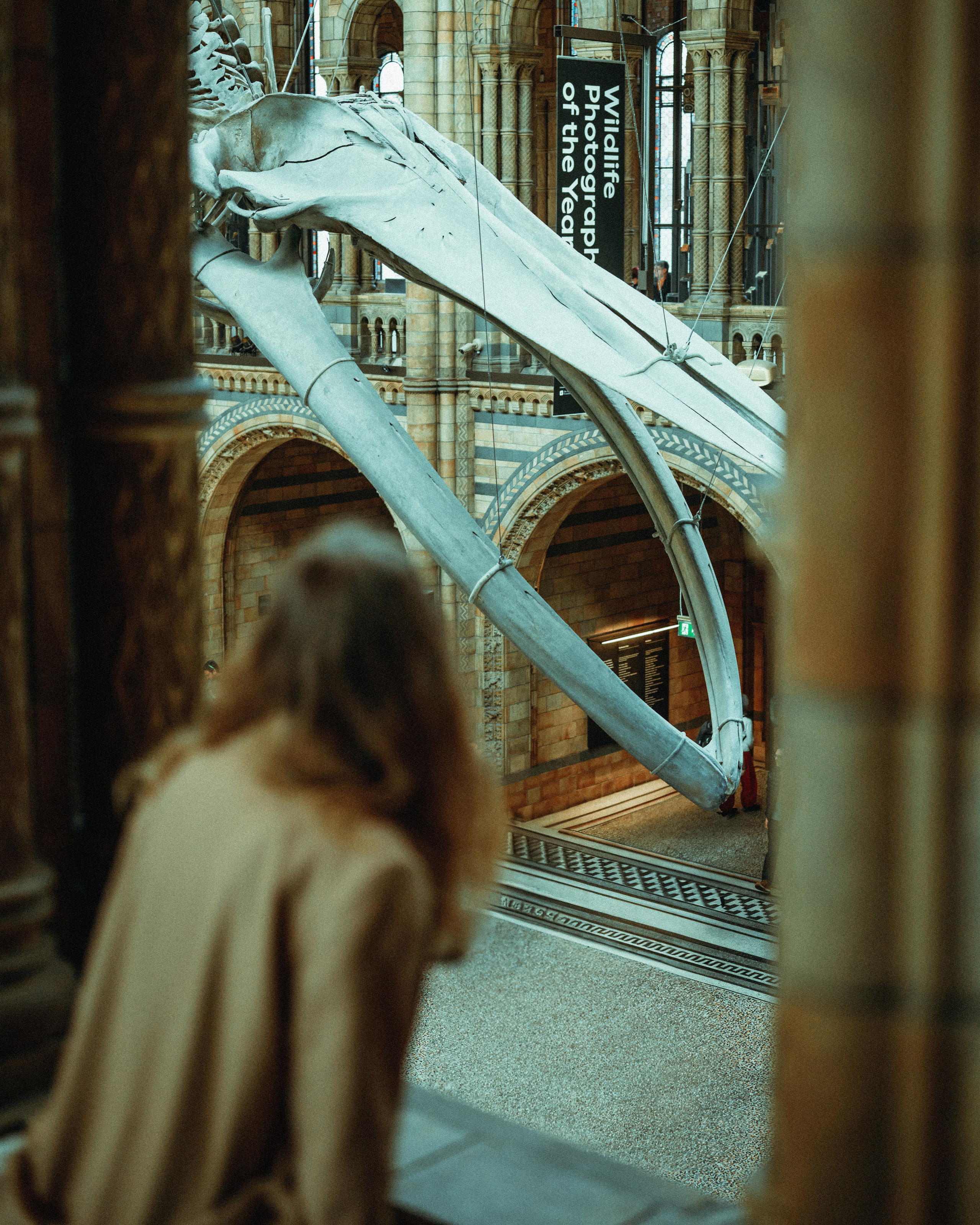 Natural History Museum photoshoot in Dark Academia style. Moth & Moss Photography