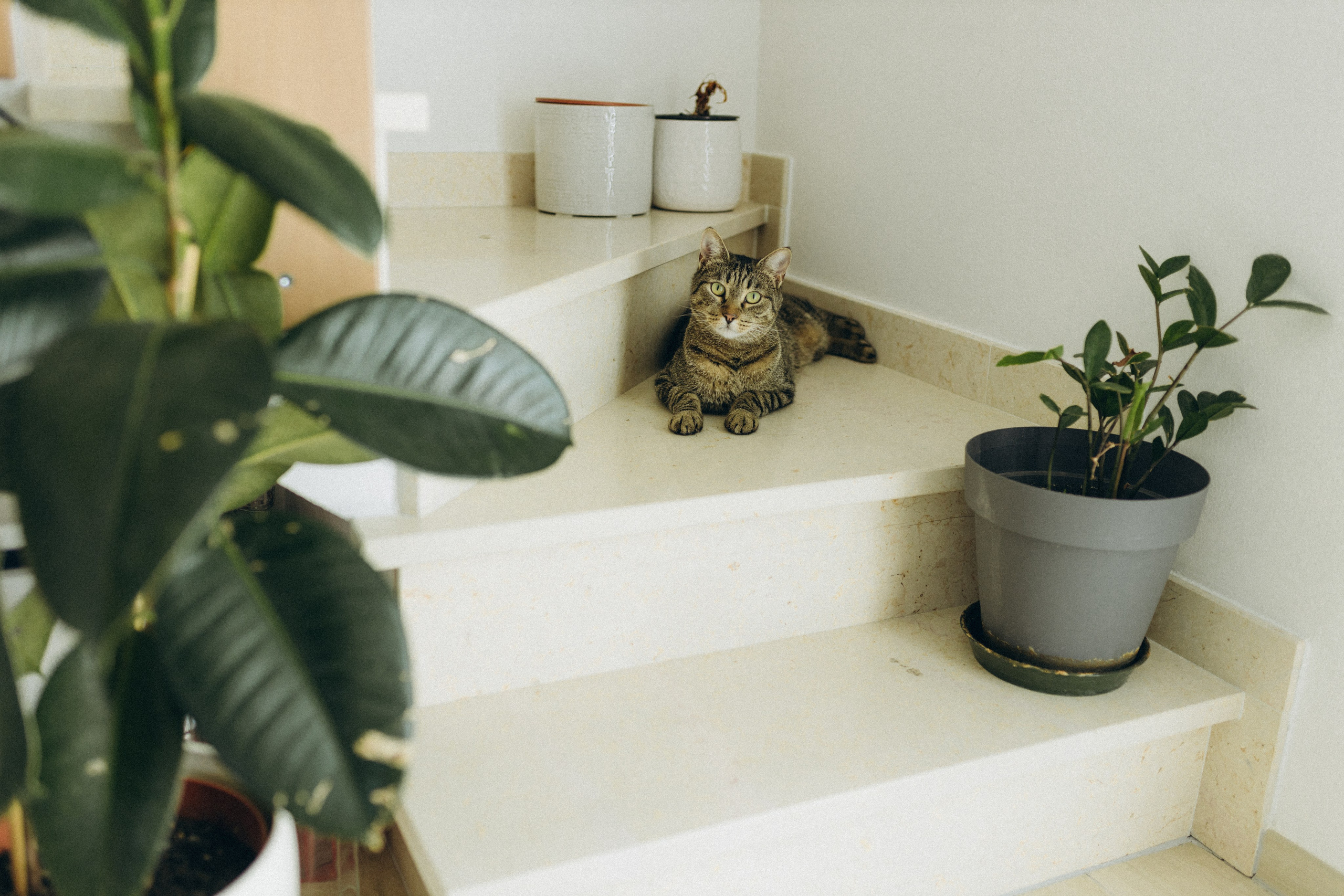 Andrea e Vanessa. Fotografo a Ravenna Nataliya Samsonova