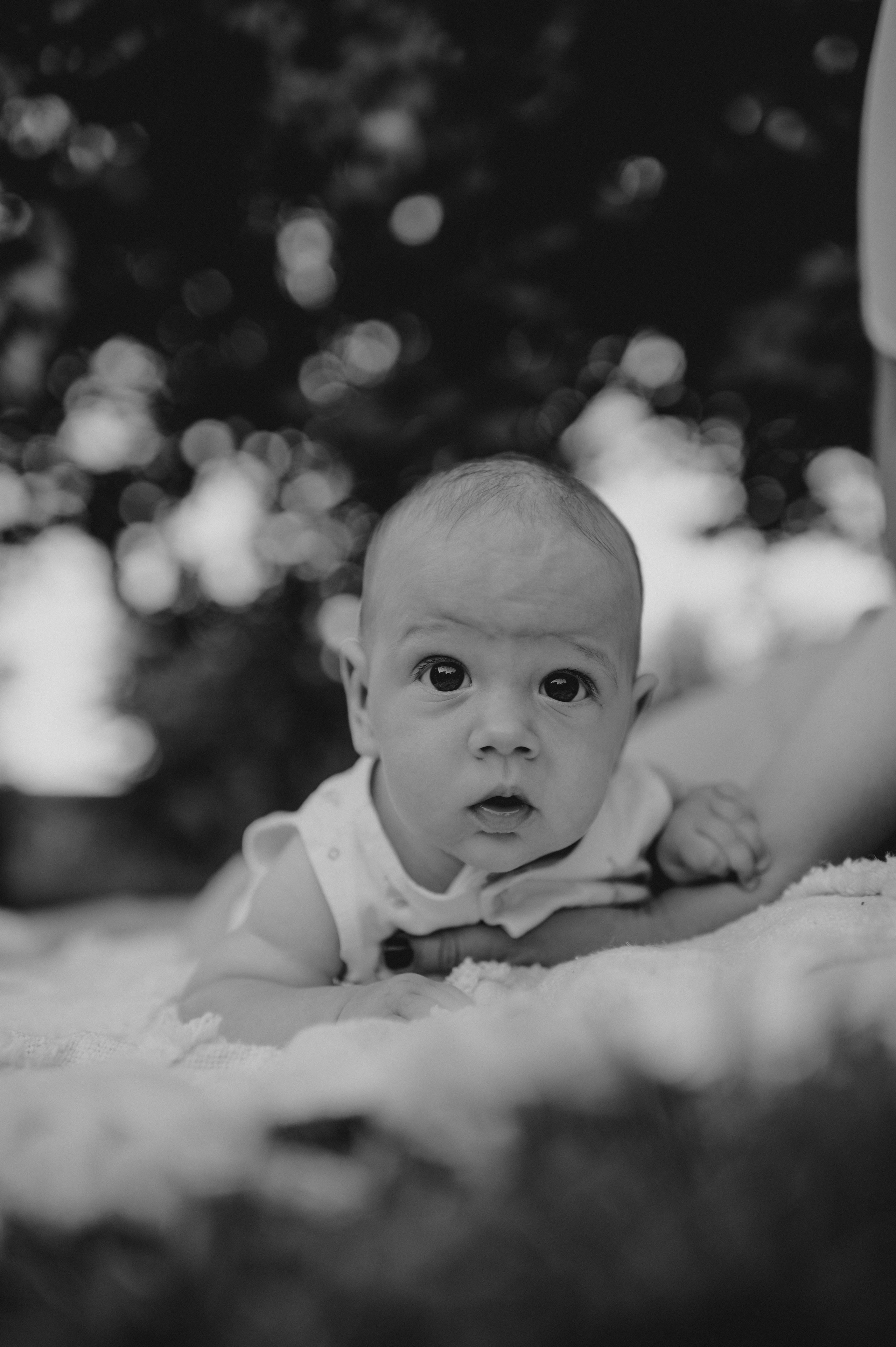 Živkovići. Ana Sladojevic