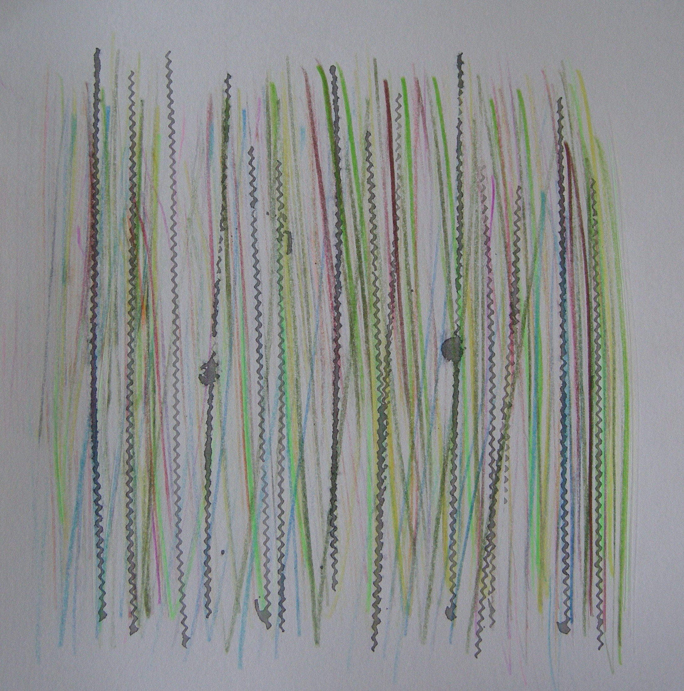 O.T. 2024 - 30x30