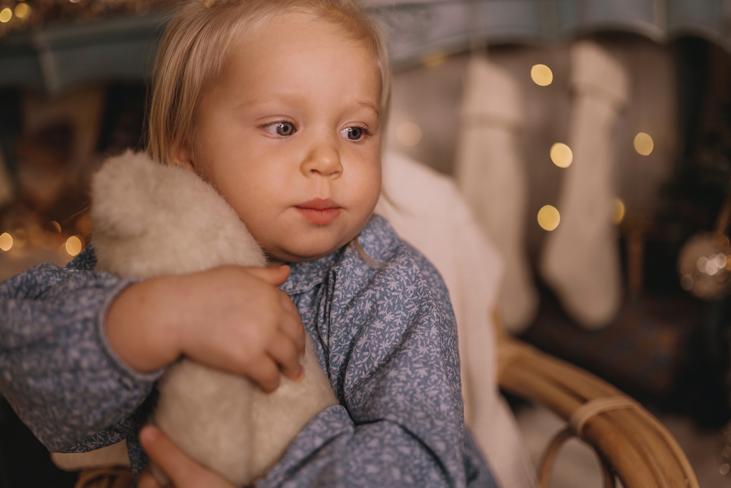 12.08.2025 Christmas Photoshoot. Wedding family event photographer in Chicago Nick Yushevich