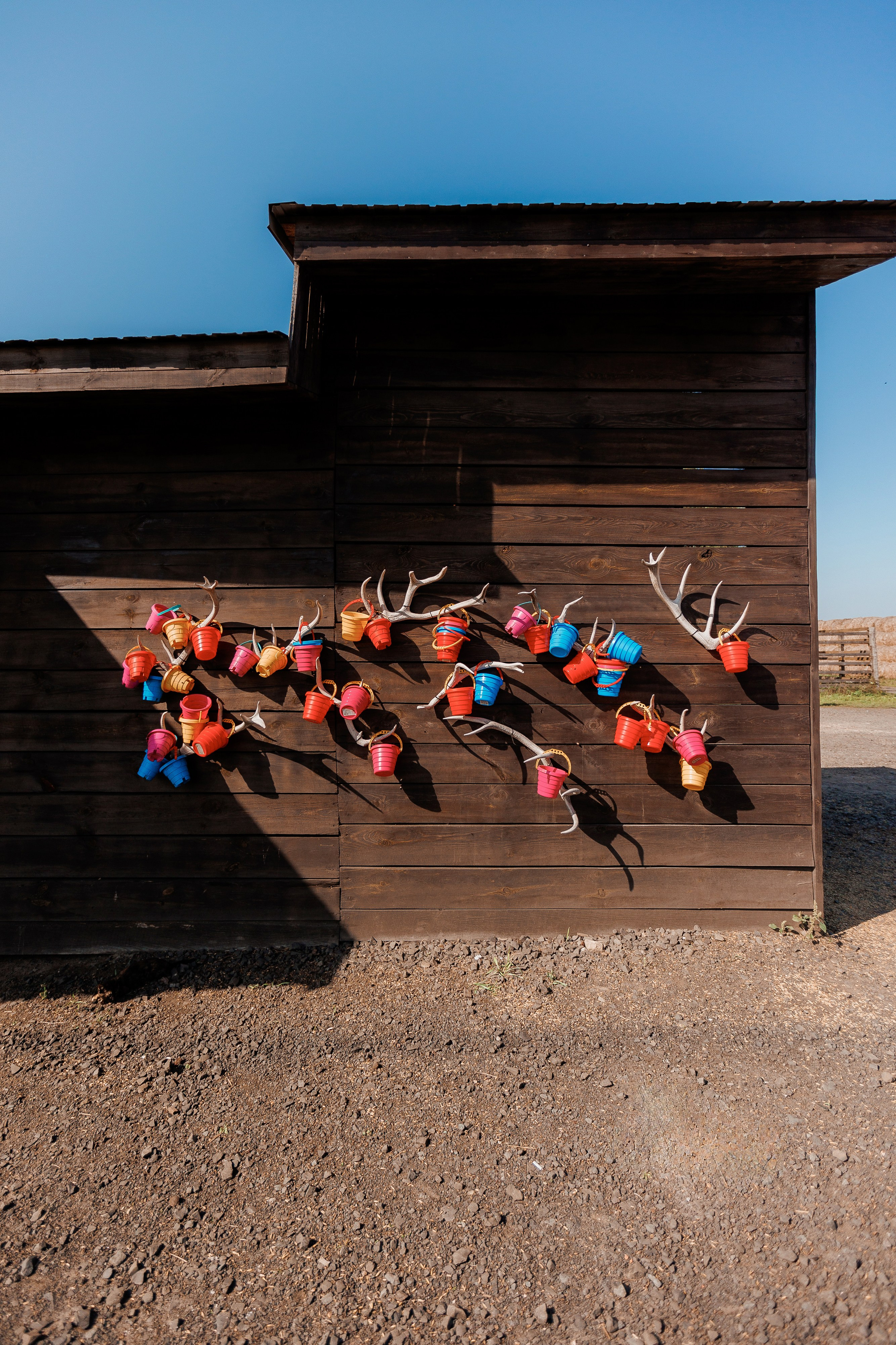 Екопарк Аміла. Ірина Терещук