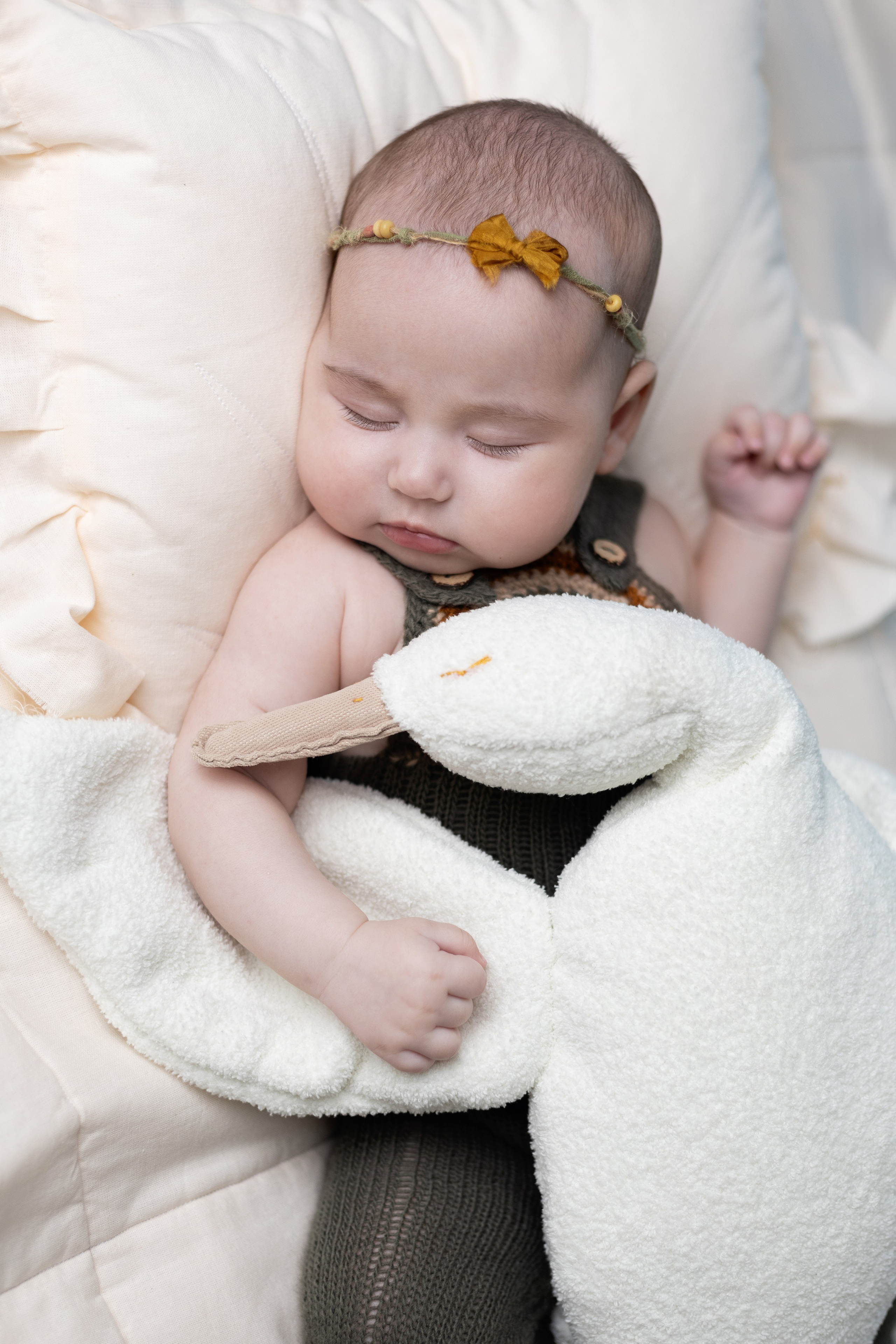 Family and newborn photographer