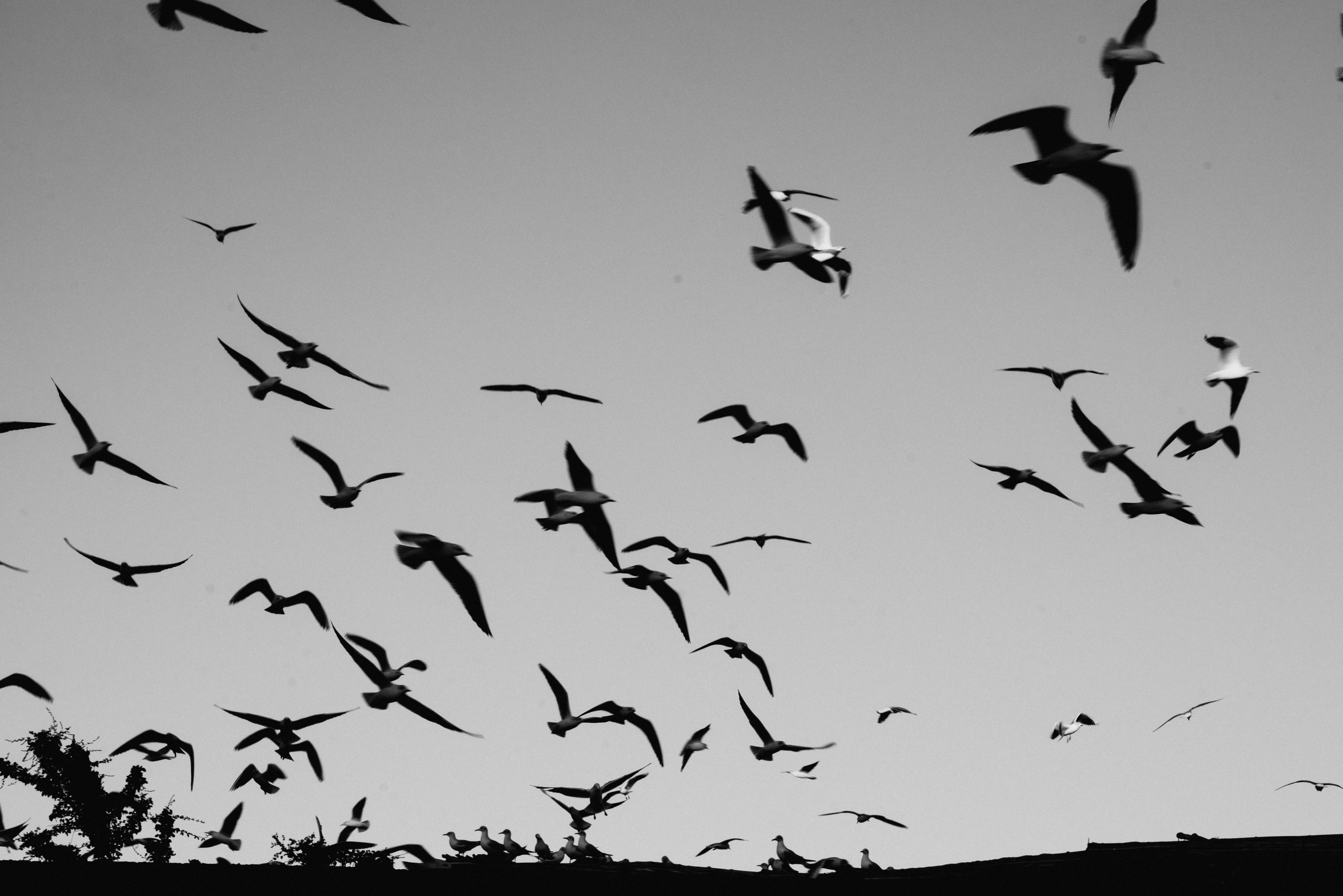 Old Village Walk. Elena Pretzner Photography