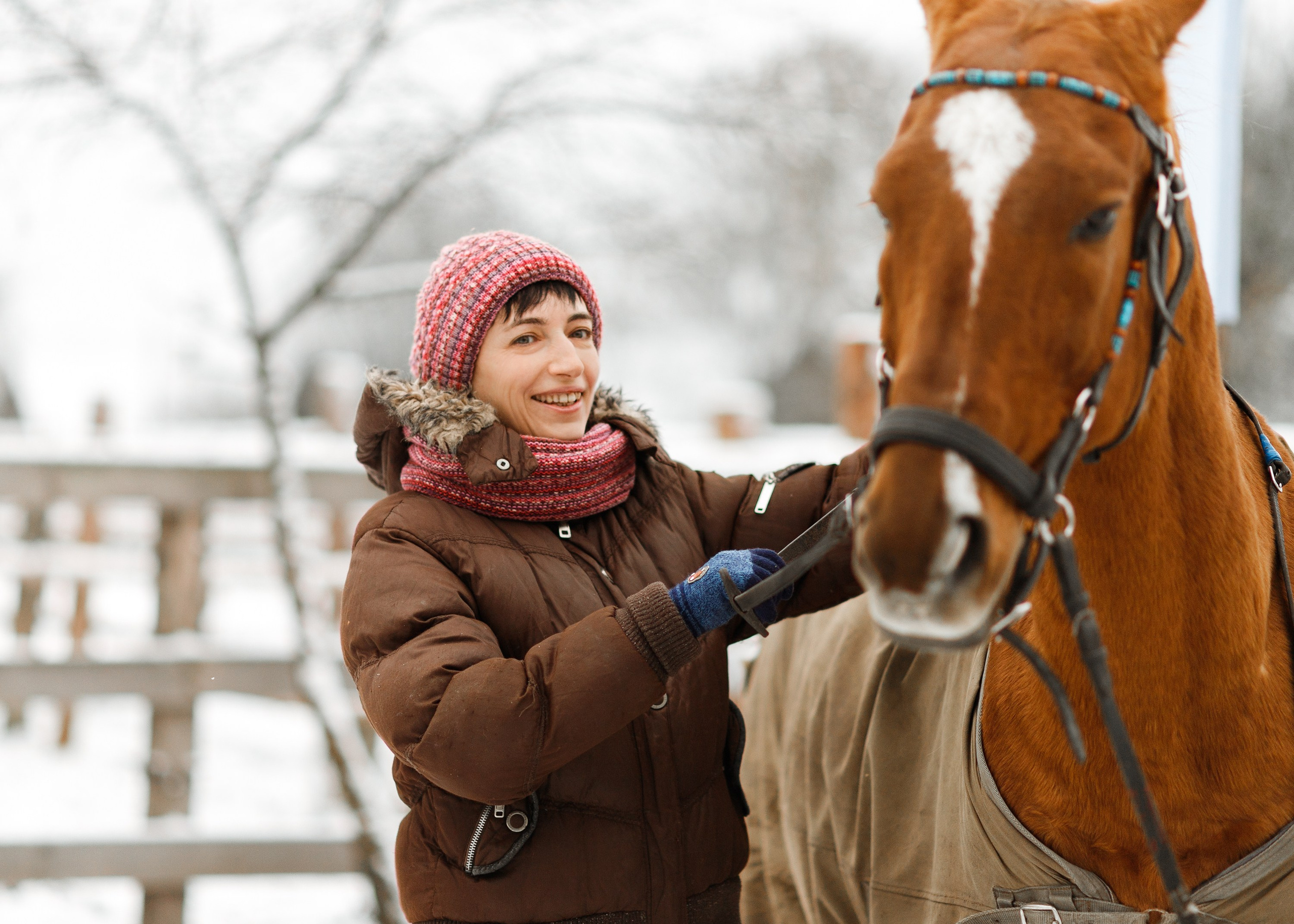 Winter stable. Kaja | fotograf psów we Wrocławiu