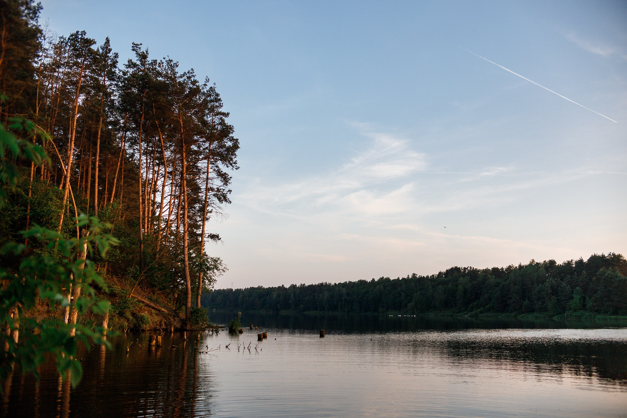 Nastya & Spark and Boss. Kaja | fotograf psów we Wrocławiu