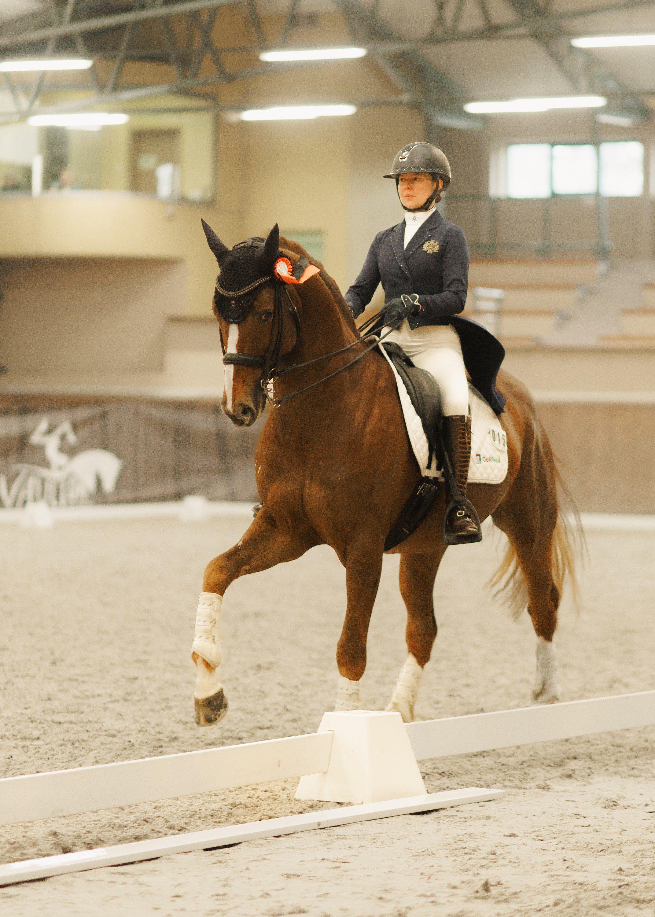 Partynice dressage \ feb'25. Kaja | fotograf we Wrocławiu | ludzie i psy