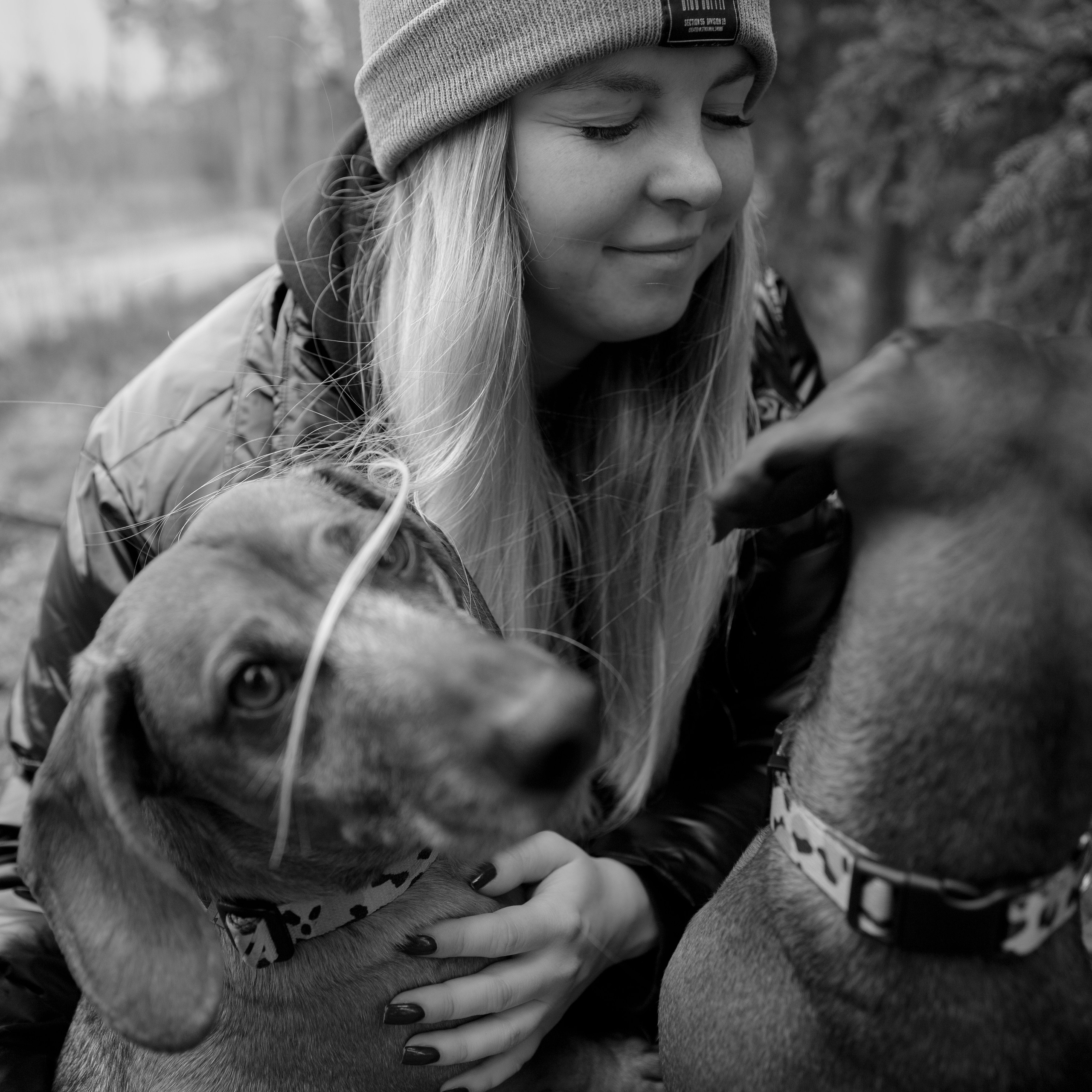 Ania, Franek & Vincent. Kaja | fotograf psów we Wrocławiu