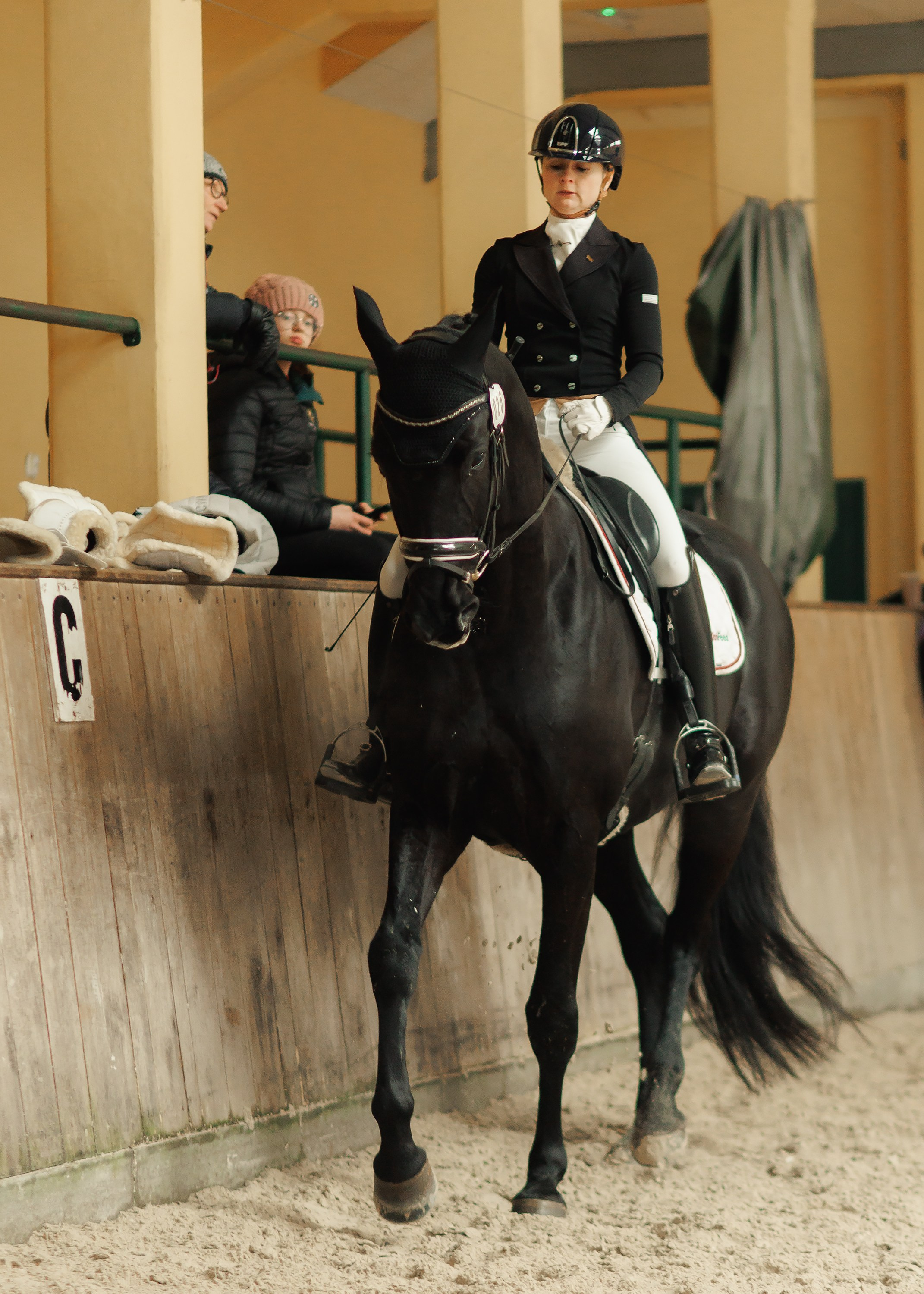 Partynice dressage \ feb'25. Kaja | fotograf we Wrocławiu | ludzie i psy