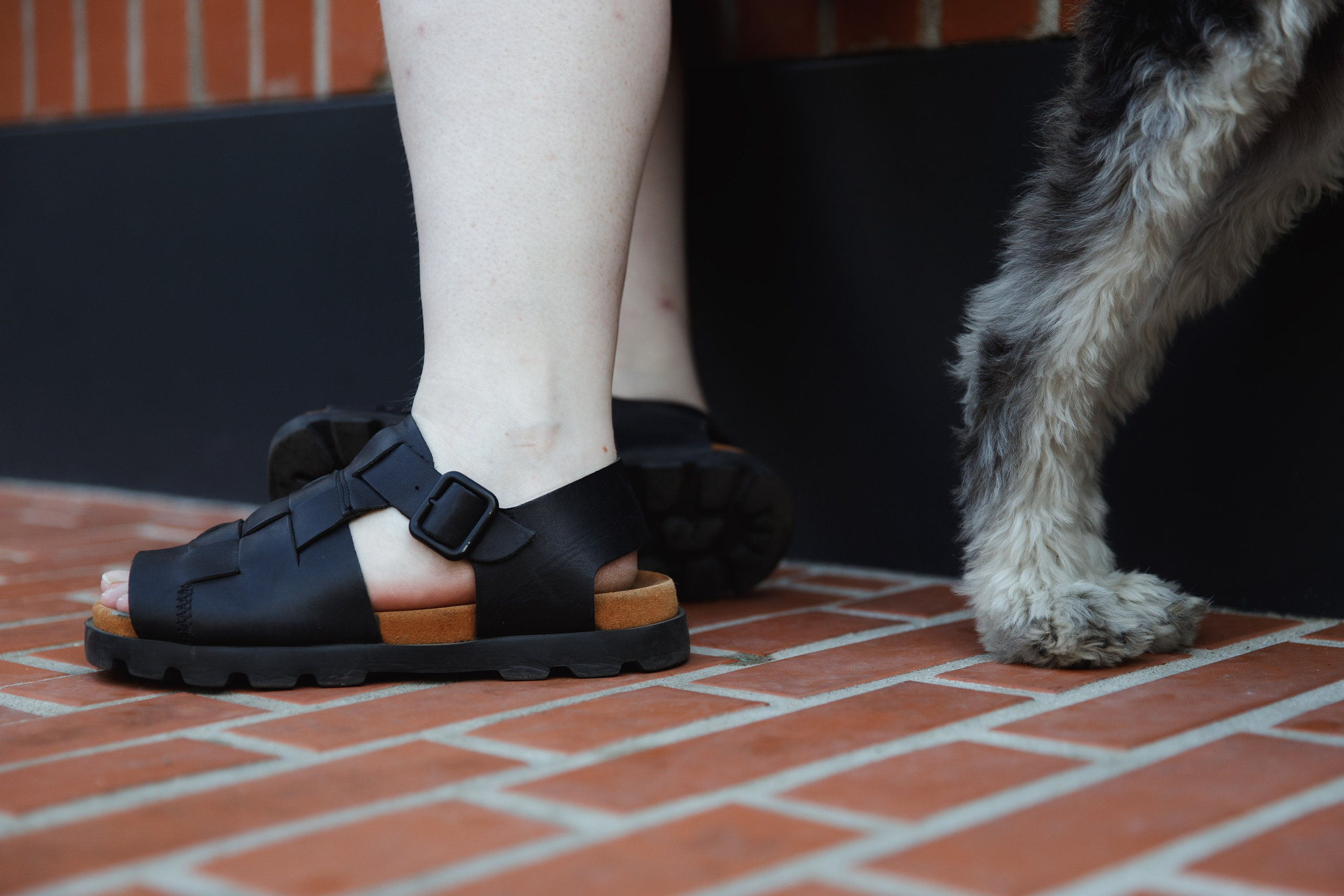 Lera & Flora. Kaja | fotograf we Wrocławiu | ludzie i psy