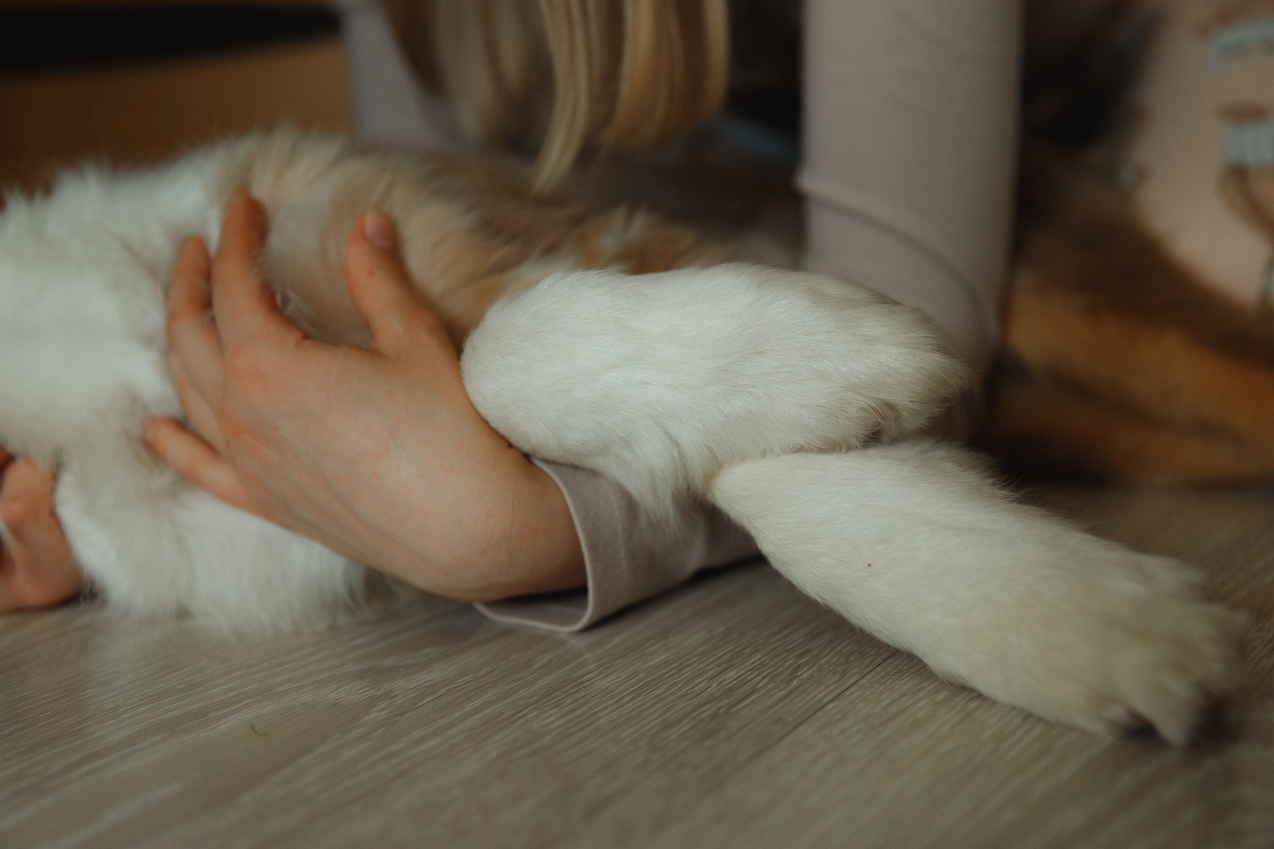 Fotografia psów Wrocław. Kaja | fotograf we Wrocławiu | ludzie i psy