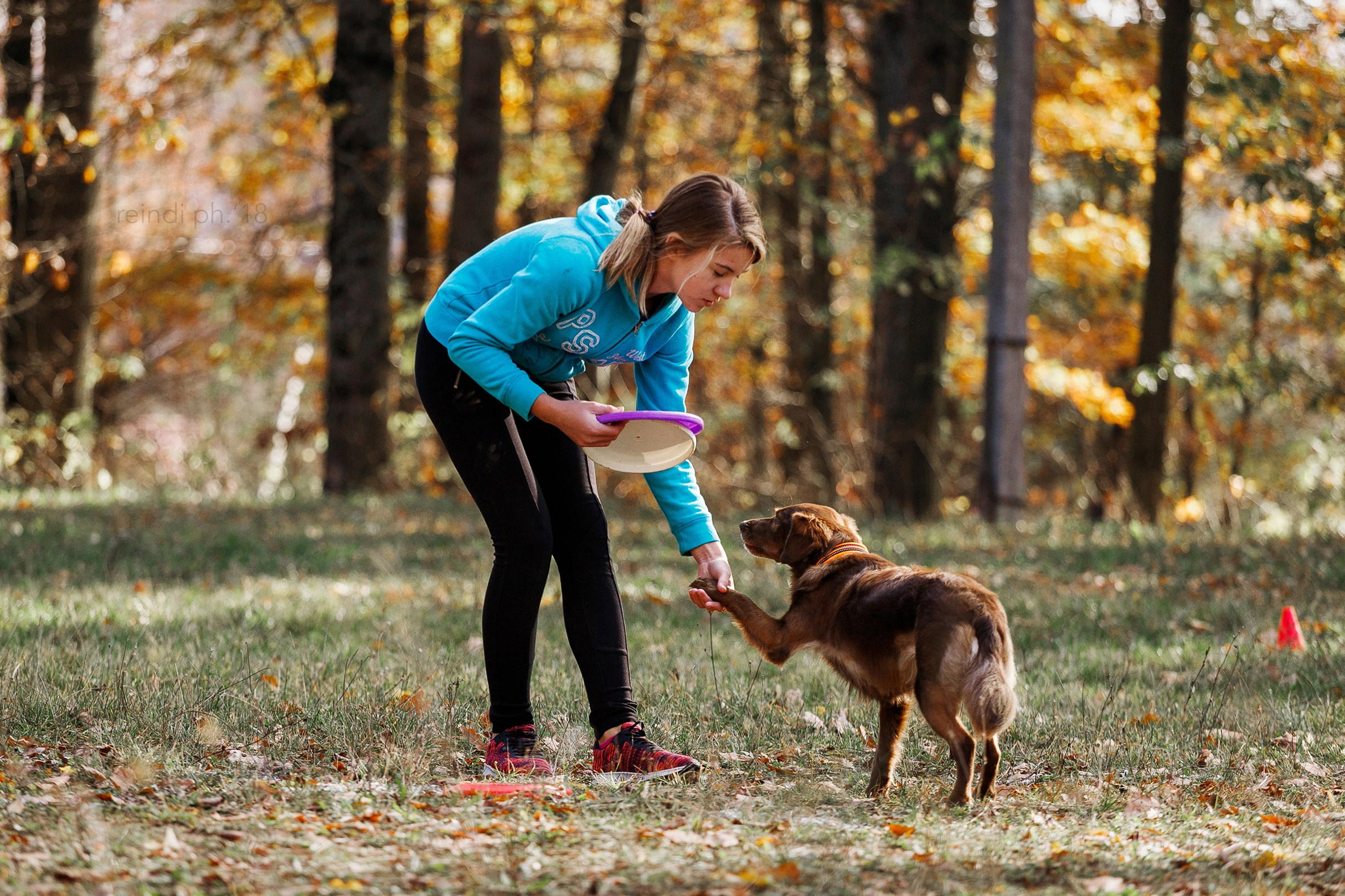 Frisbee and dog puller championship | autumn. Kaja | fotograf we Wrocławiu | ludzie i psy