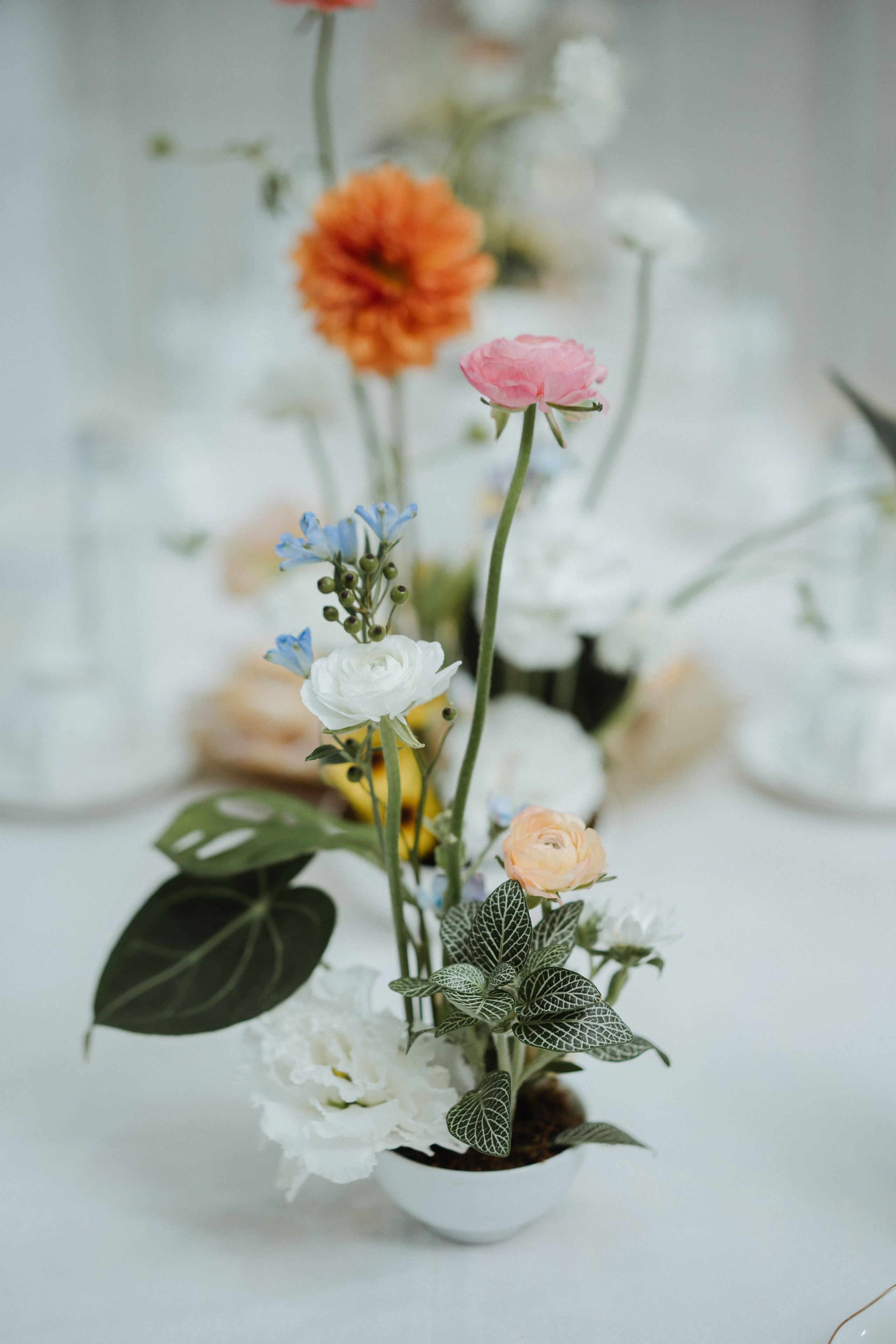 Duoc + Kim | Photojournalism. BenColor Studio