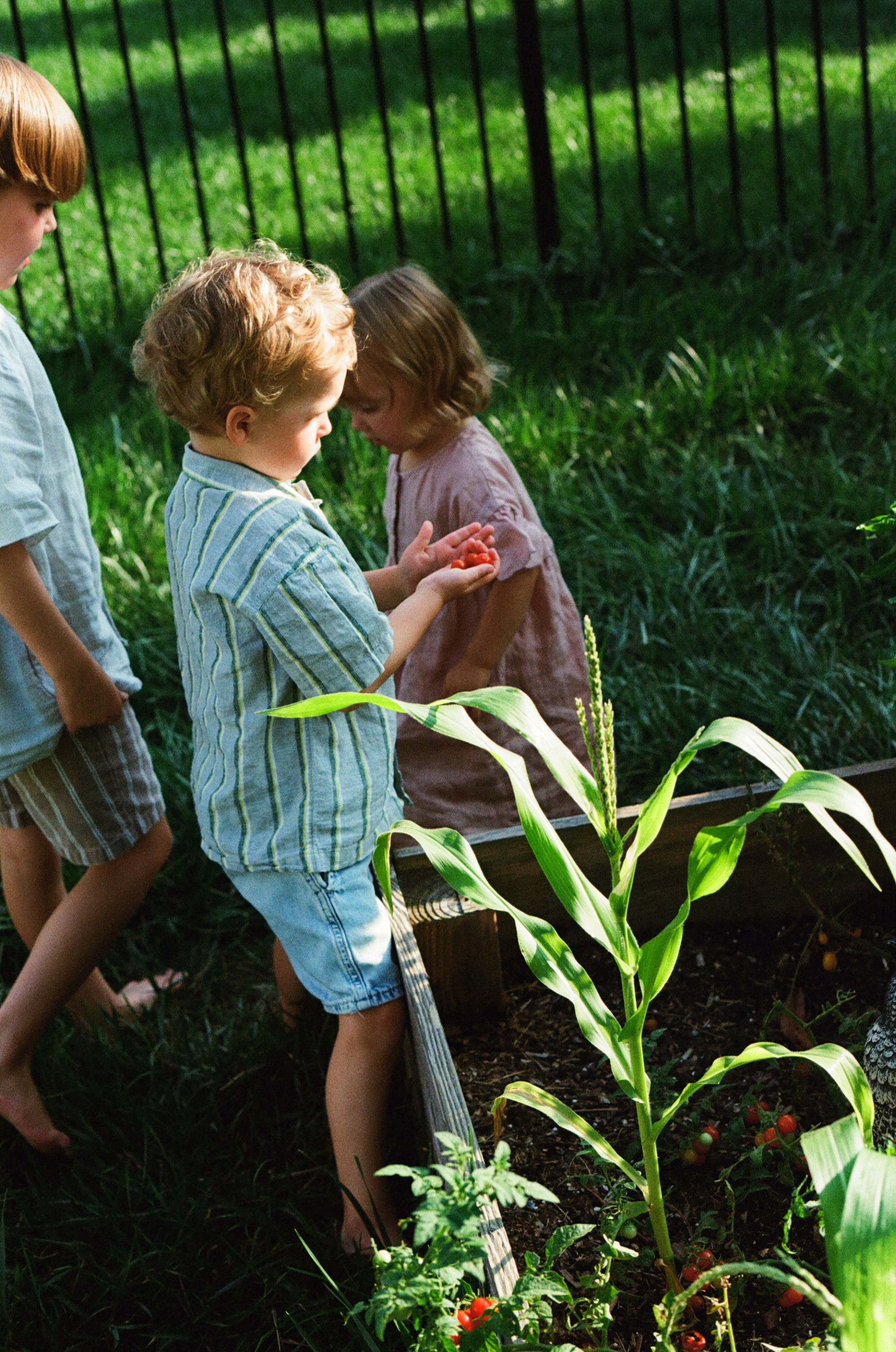 Candid and documentary film family photographer in Moseley, VA