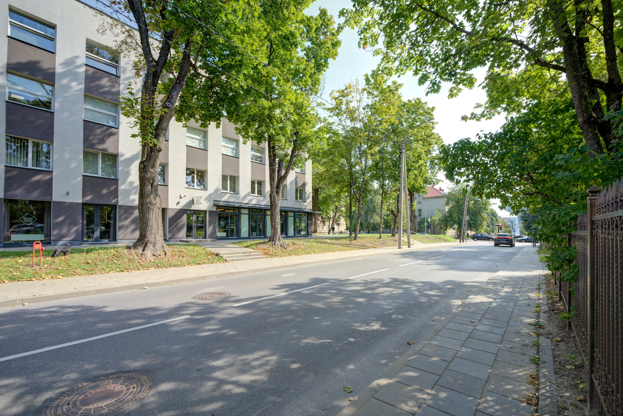 Saltoniškių g. 31. Elina Sapiega fotografė Vilniuje