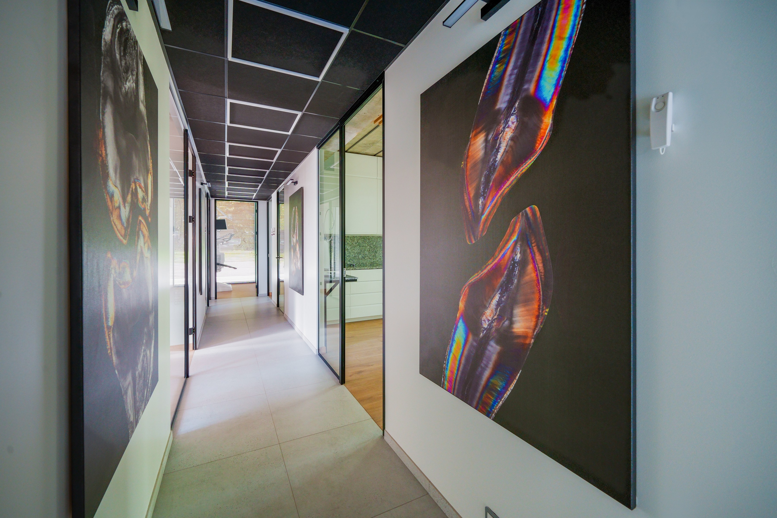 Žaliųjų ežerų g. 27. Elina Sapiega fotografė Vilniuje