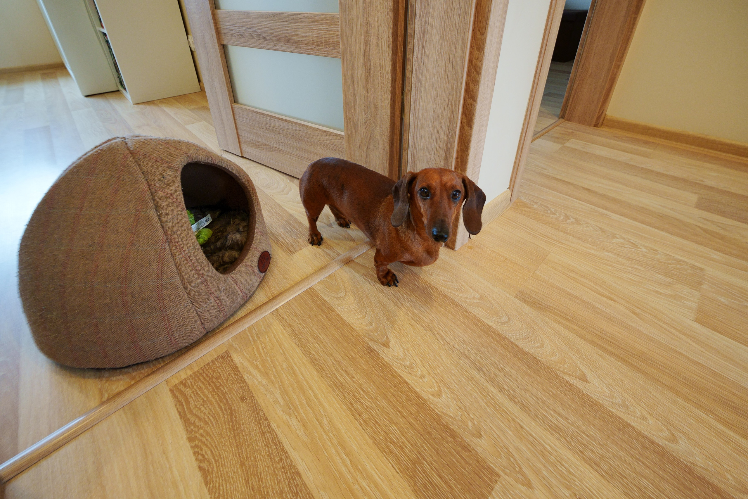 Tarandė. Elina Sapiega fotografė Vilniuje