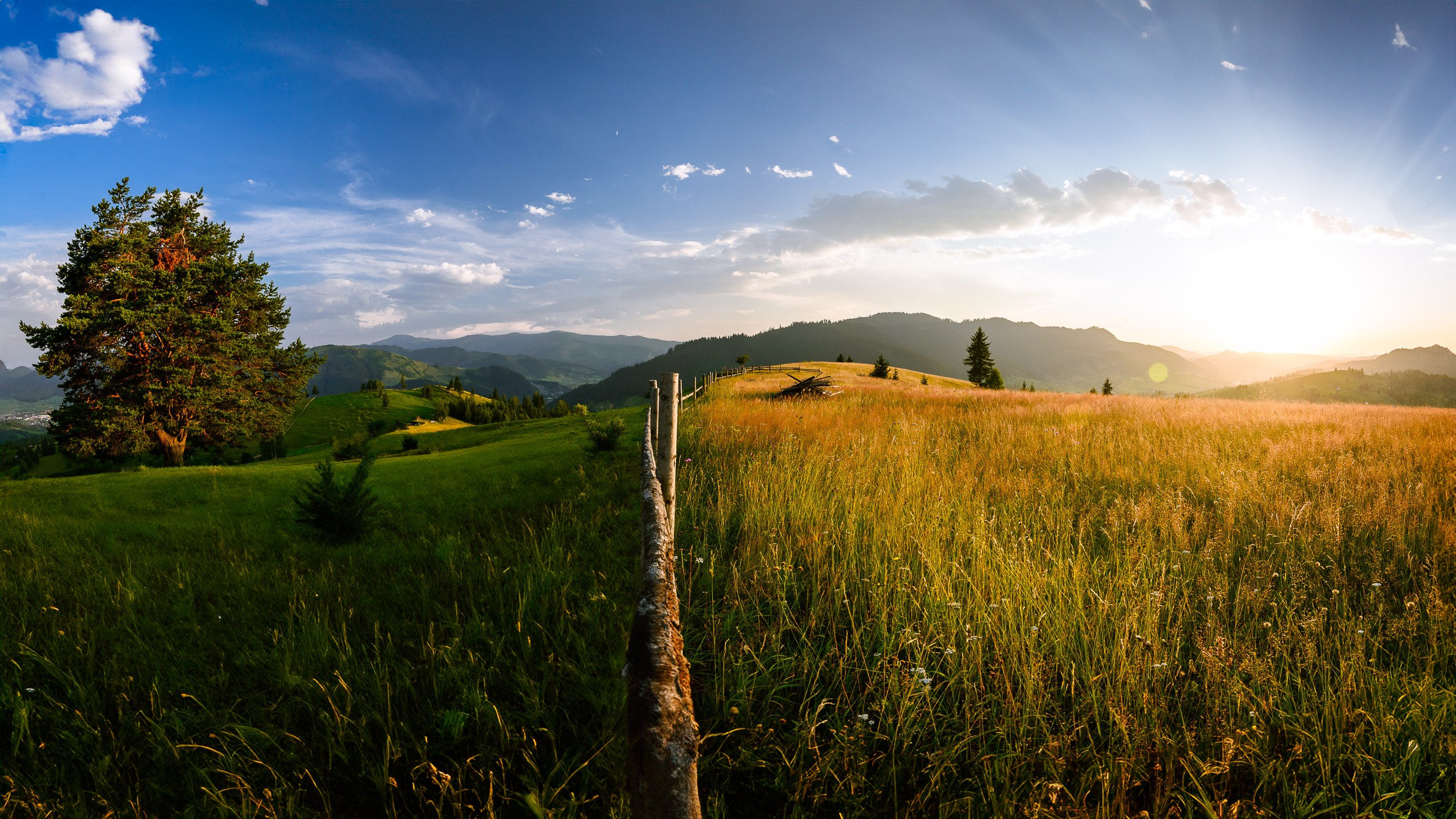 WK Sorin Onisor. Marius Ciocan