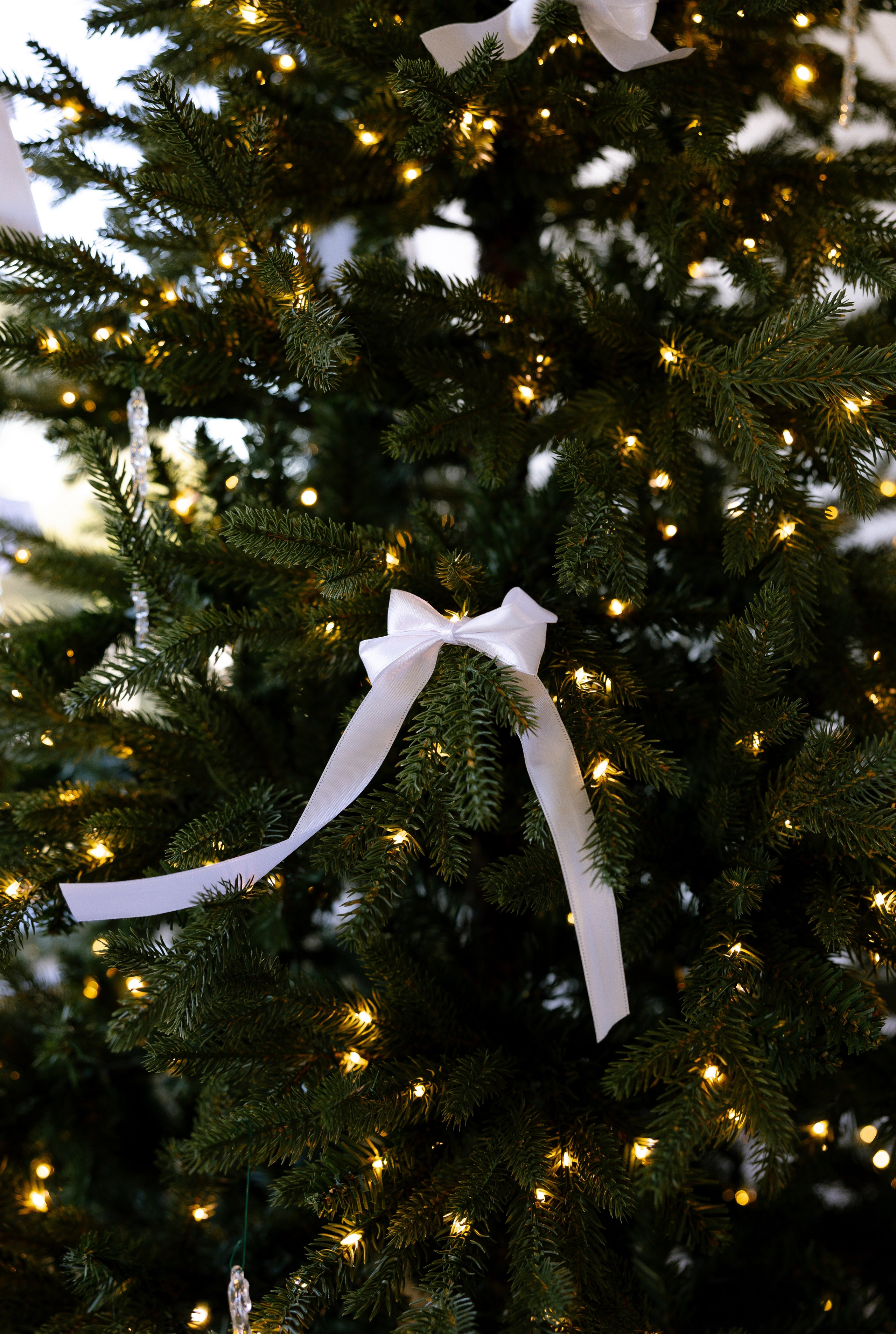 Christmas Family Photoshoot. Photographer Anastasia Nagibina