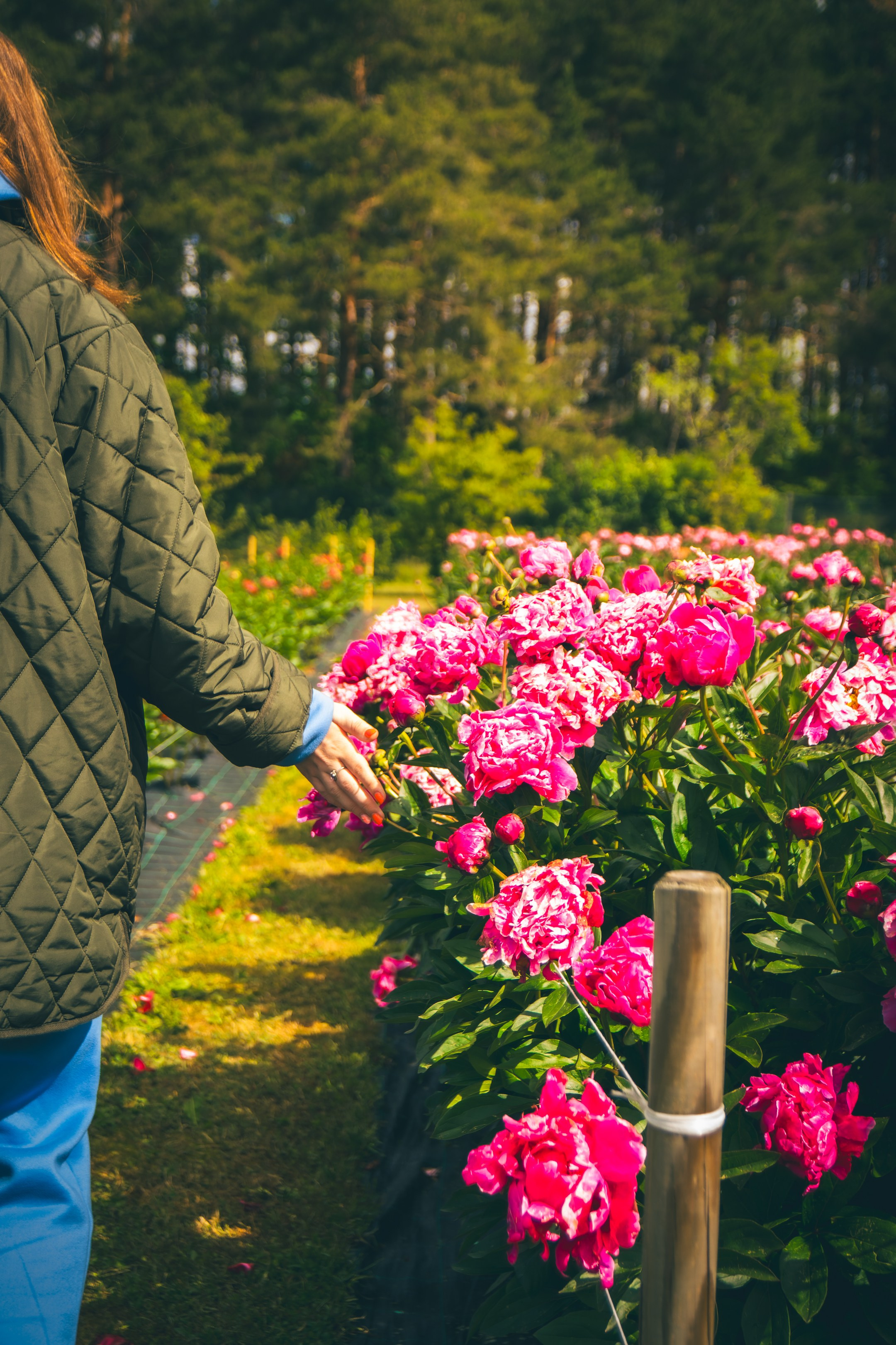 Saaremaa, reis (Nika A.). Nebula 25 — Fotod teie hingele