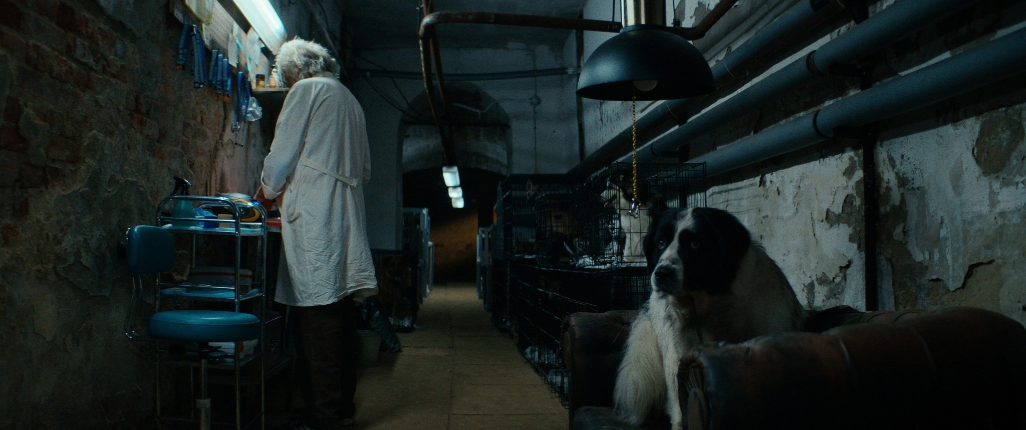 Doctor Gaf | Film. Ilia Ivanov