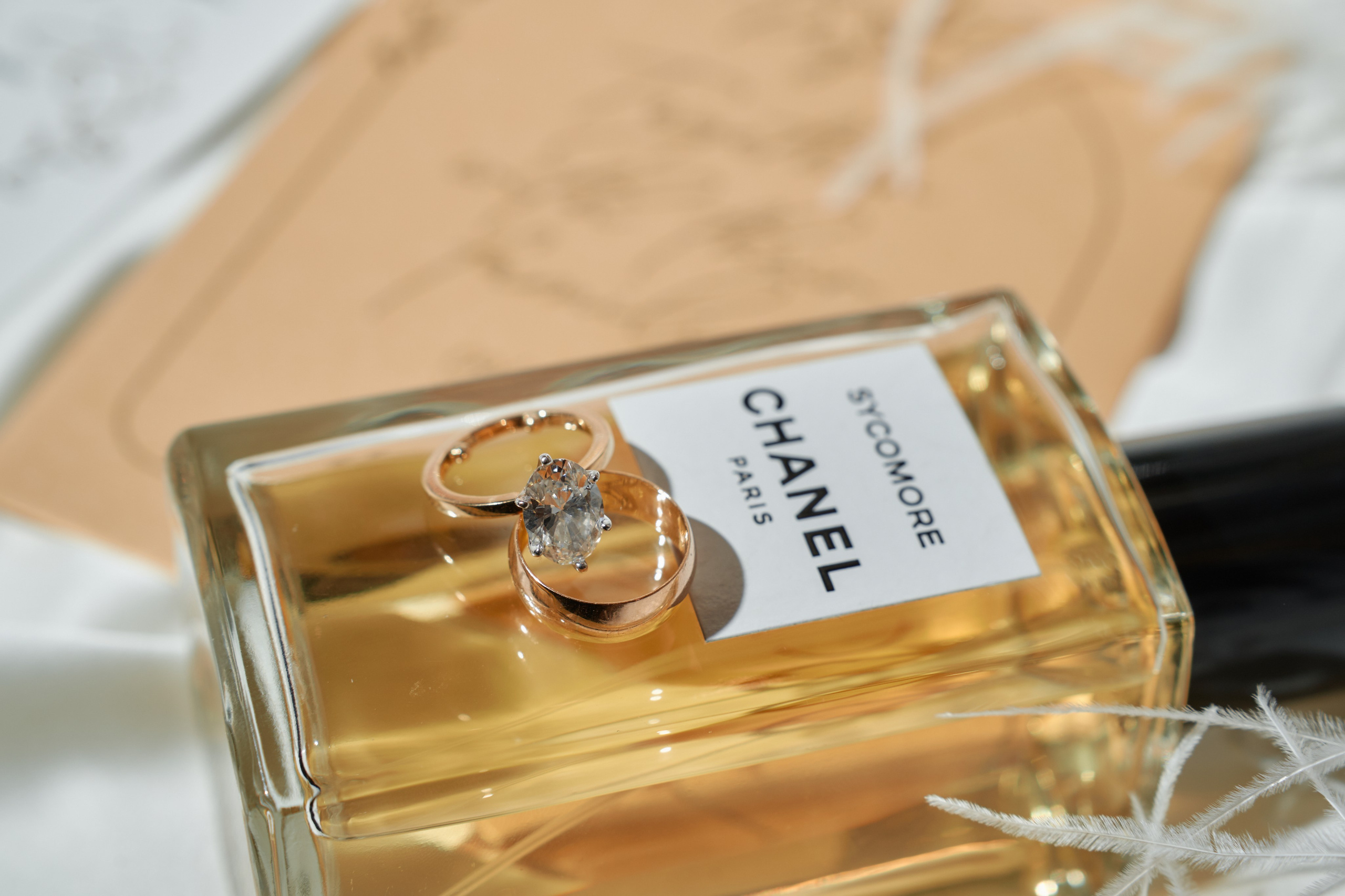 Victoria & Peyam. Professional Wedding and event photographer USA New York