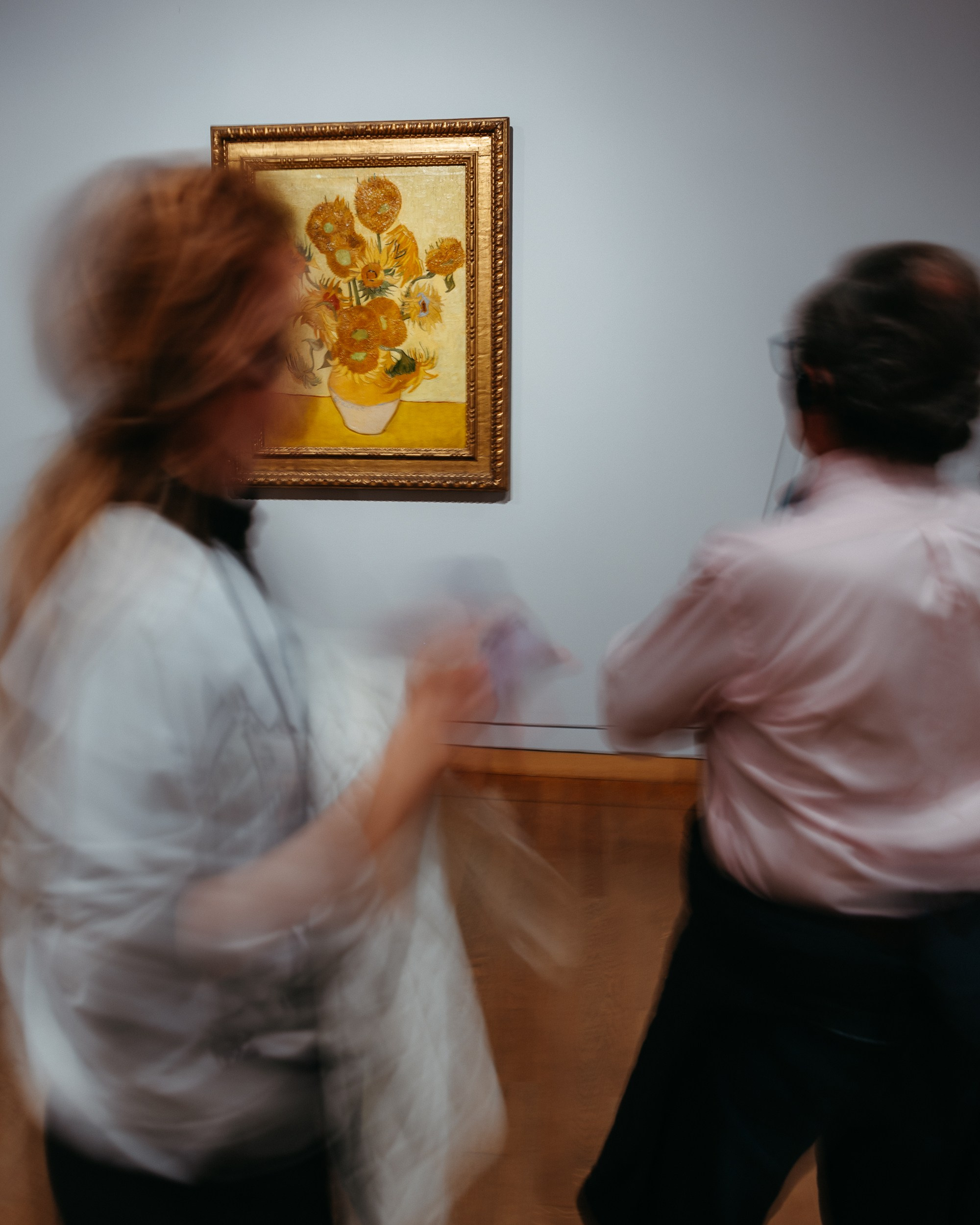 Olanda. Marius Ciocan