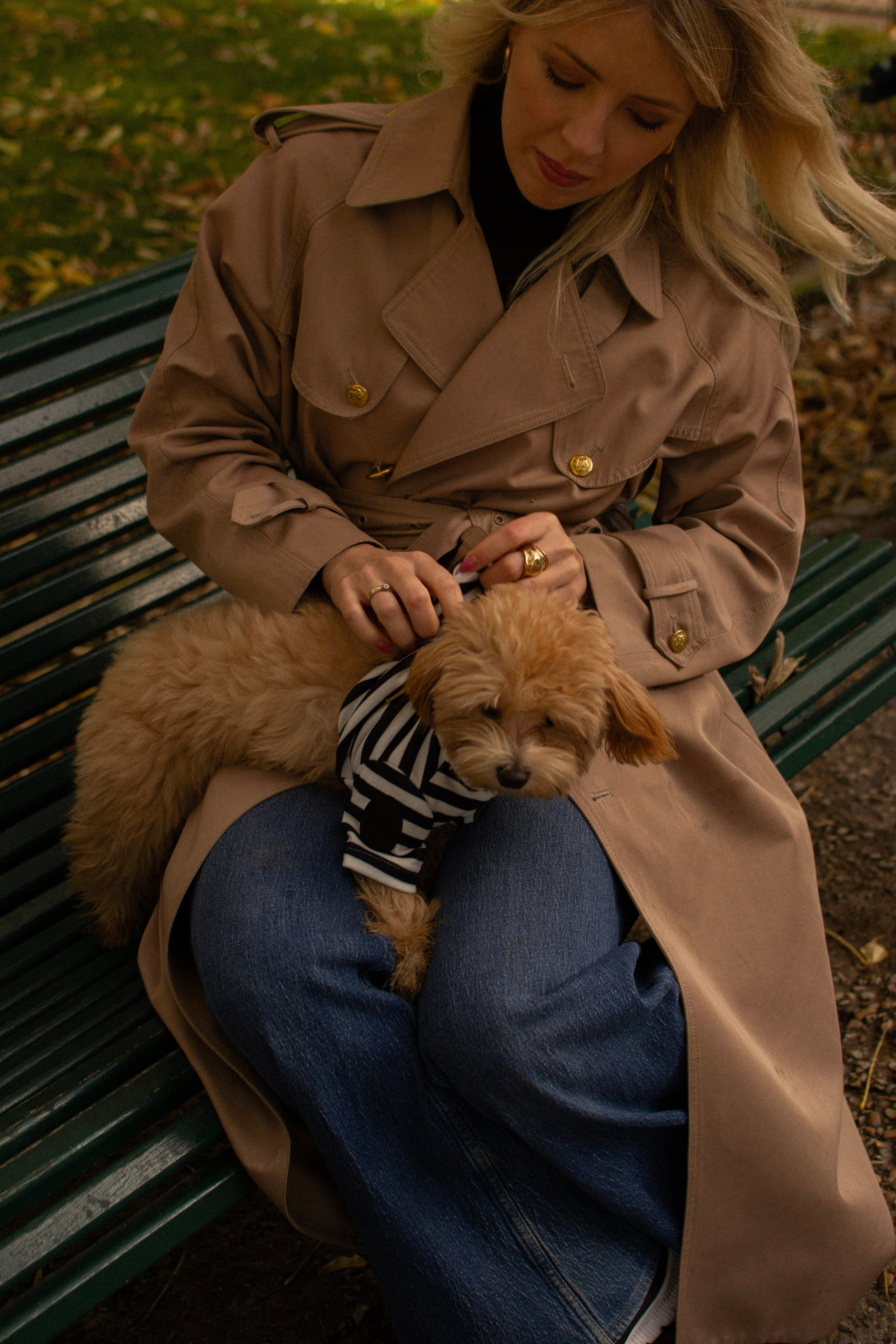 Barney, Nastya et Kolya. Photographe animalier à Paris Anna Pereira