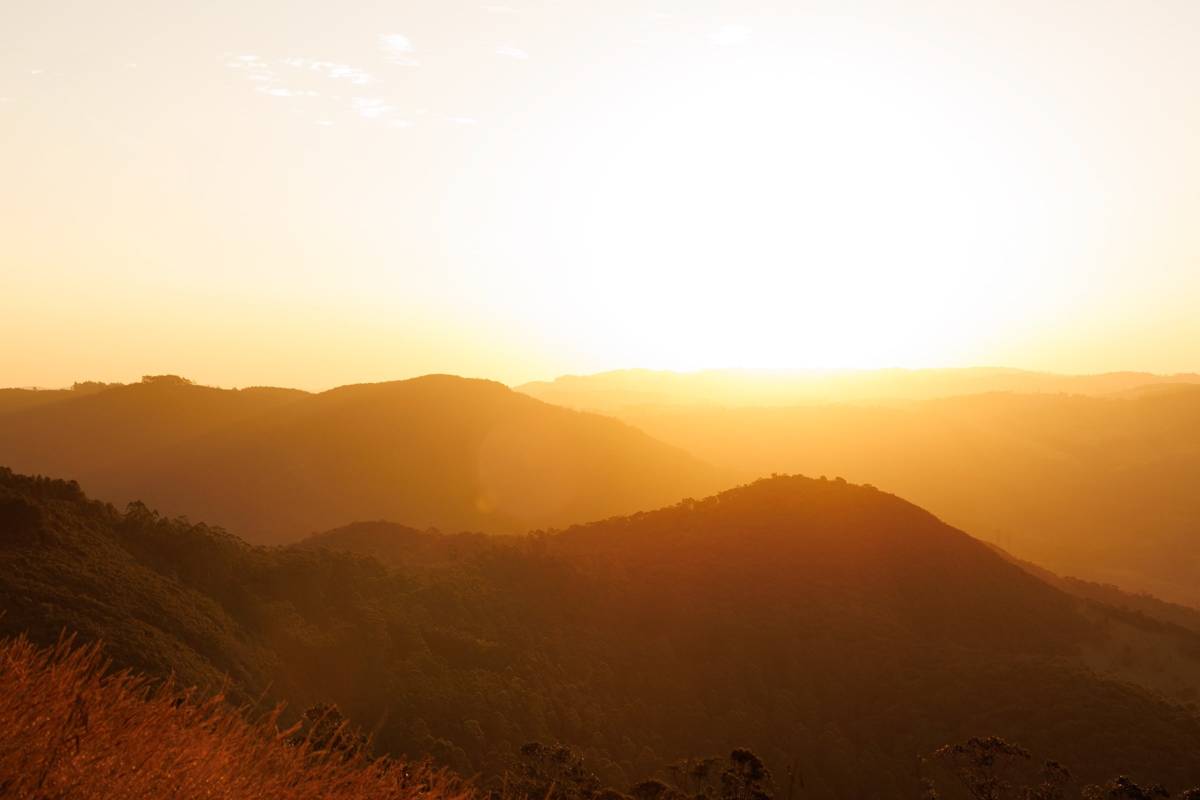 Couple Sessions. Wedding Photographer in Brazil | Based in Paraná, available across Brazil and worldwide