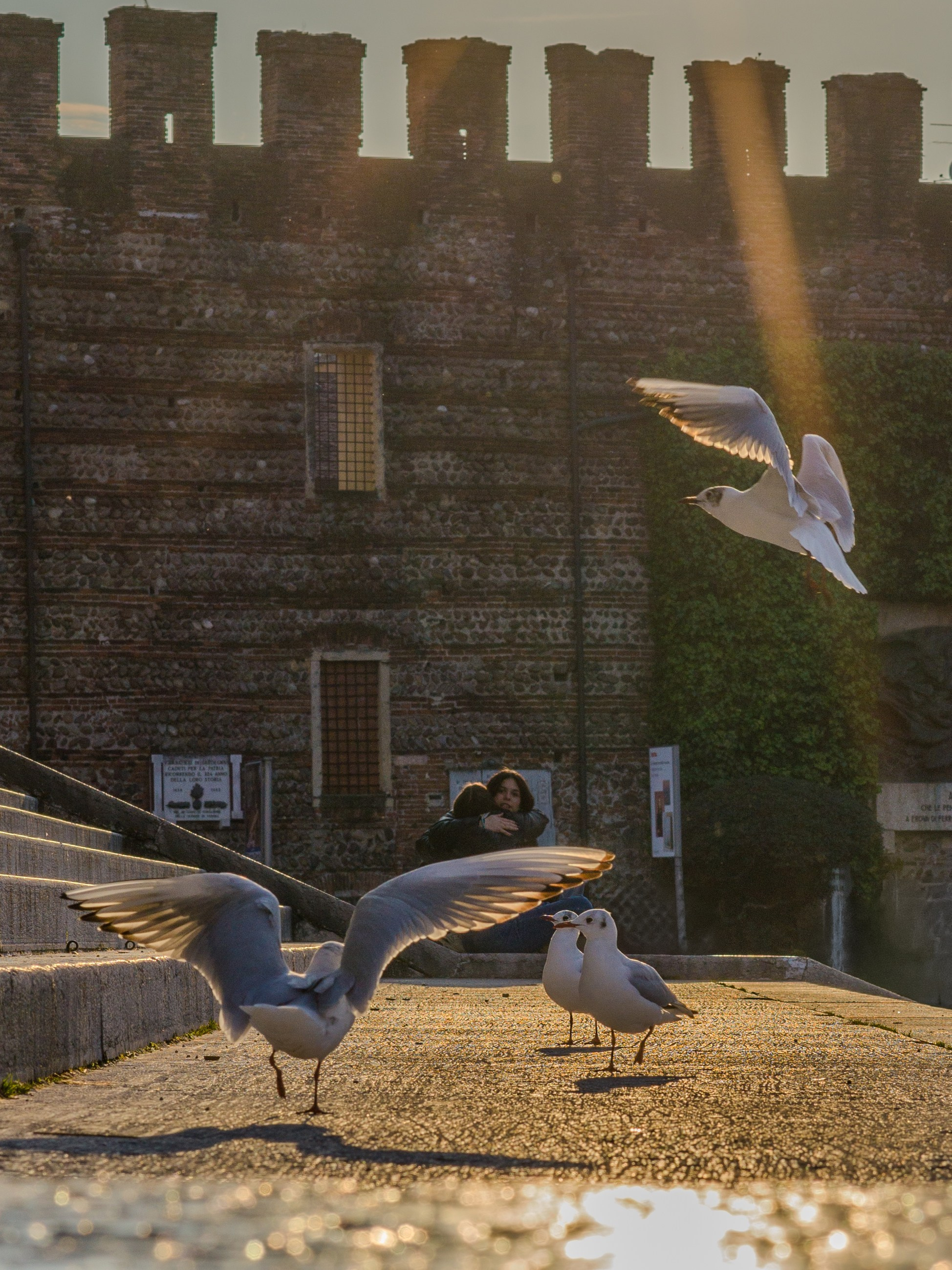 Уличная фотография в Италии | Street photo Milano, Verona, Como. Ale Kor — Фотограф в Италии | озеро Комо, озеро Гарда, Верона, Доломиты