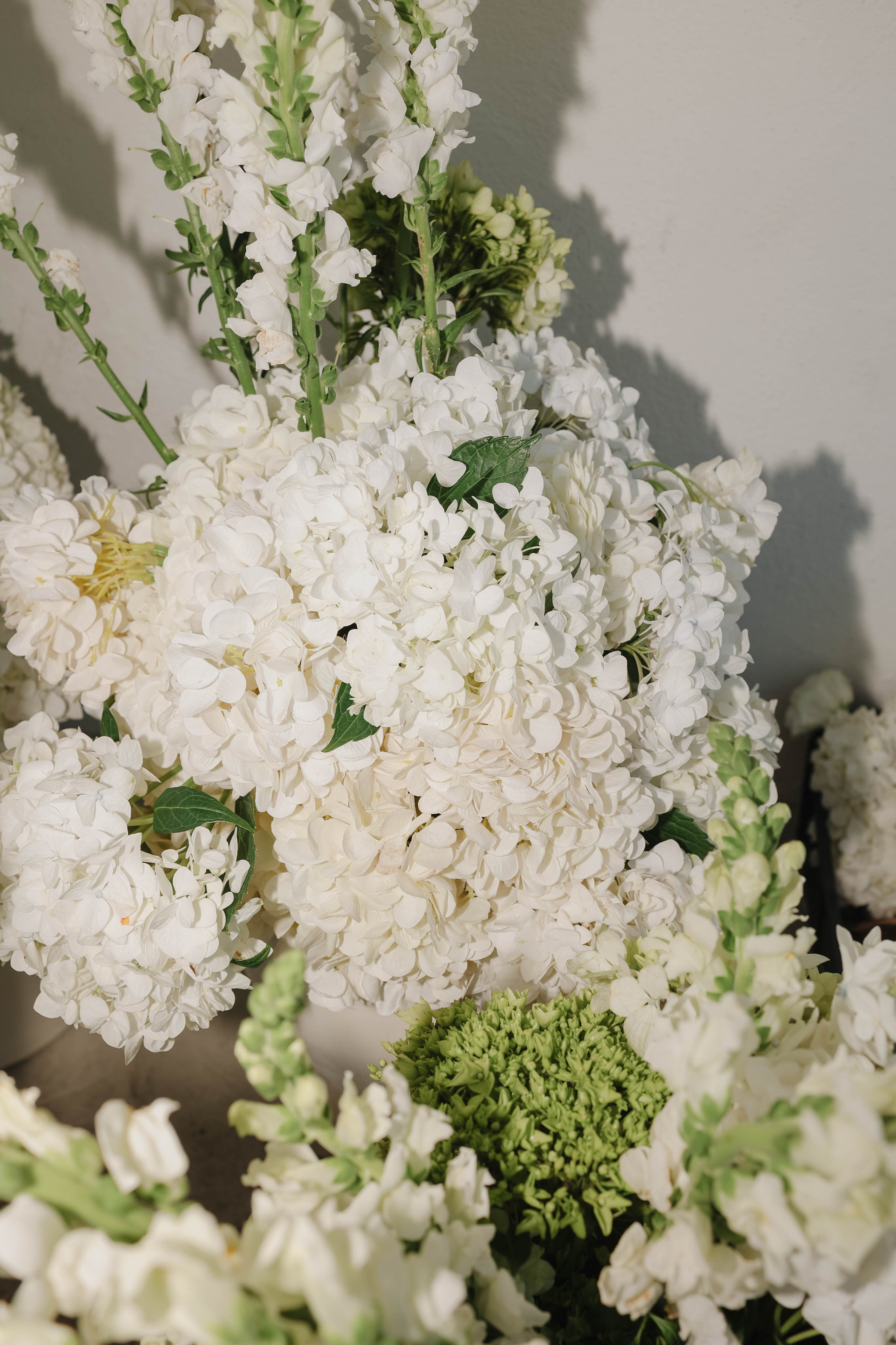 A Wedding at Casa Valerie: Love Under the Puerto Vallarta Sky