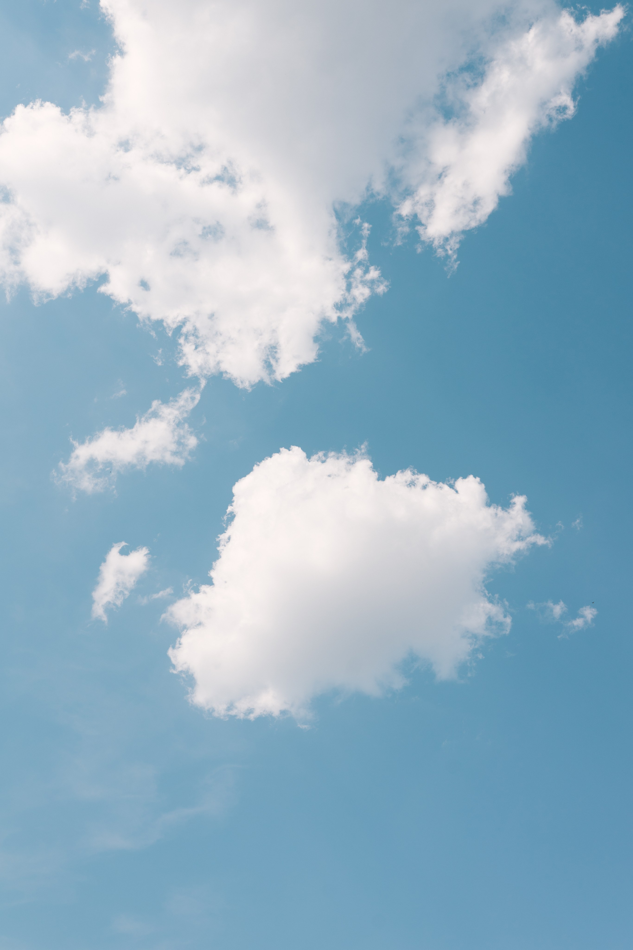 Fotografie de Eveniment Brașov: Povești Vizuale | Mădălina Beda. Madalina Beda- Artist vizual, fotograf, doula la nastere, consultant babywearing Brasov si in toata tara