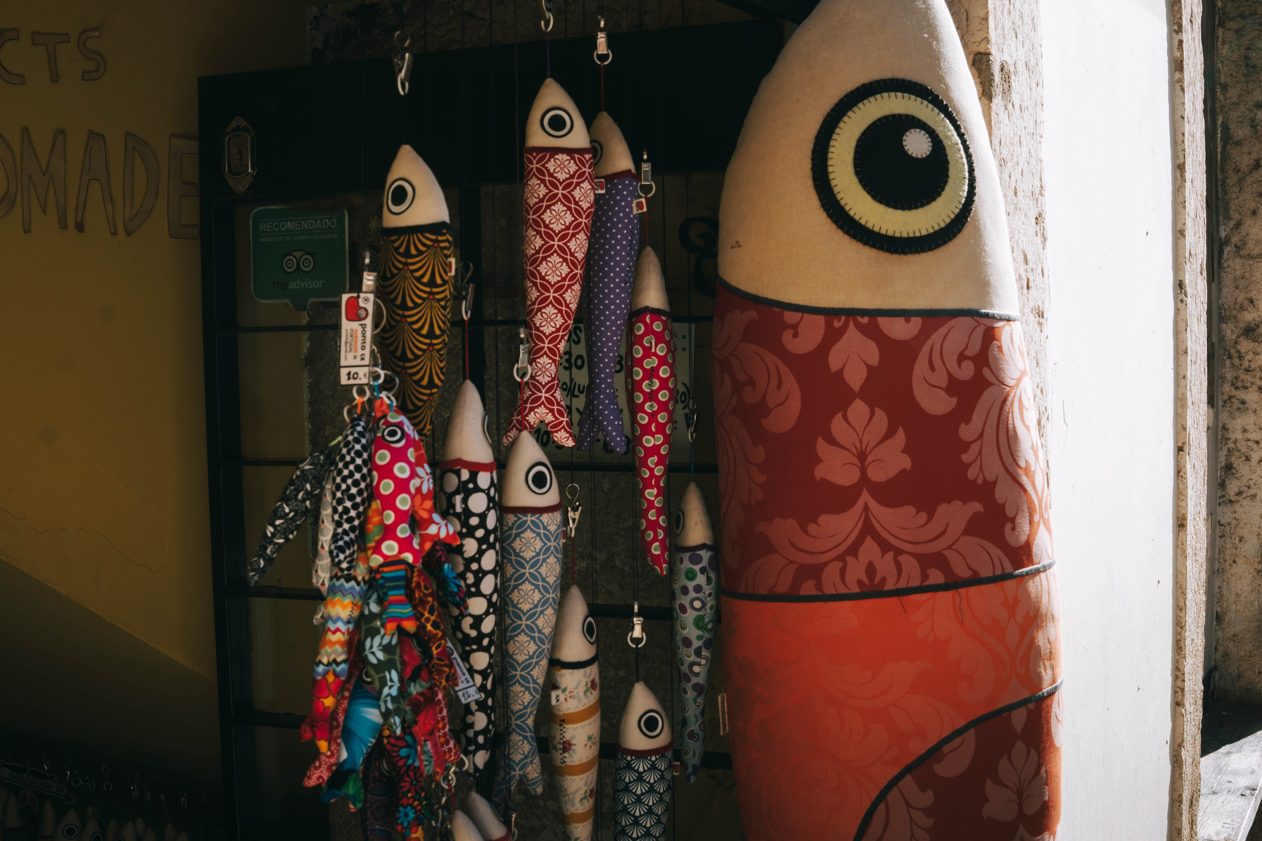 Lisboa, Agosto 2024. Alba del Norte Studio