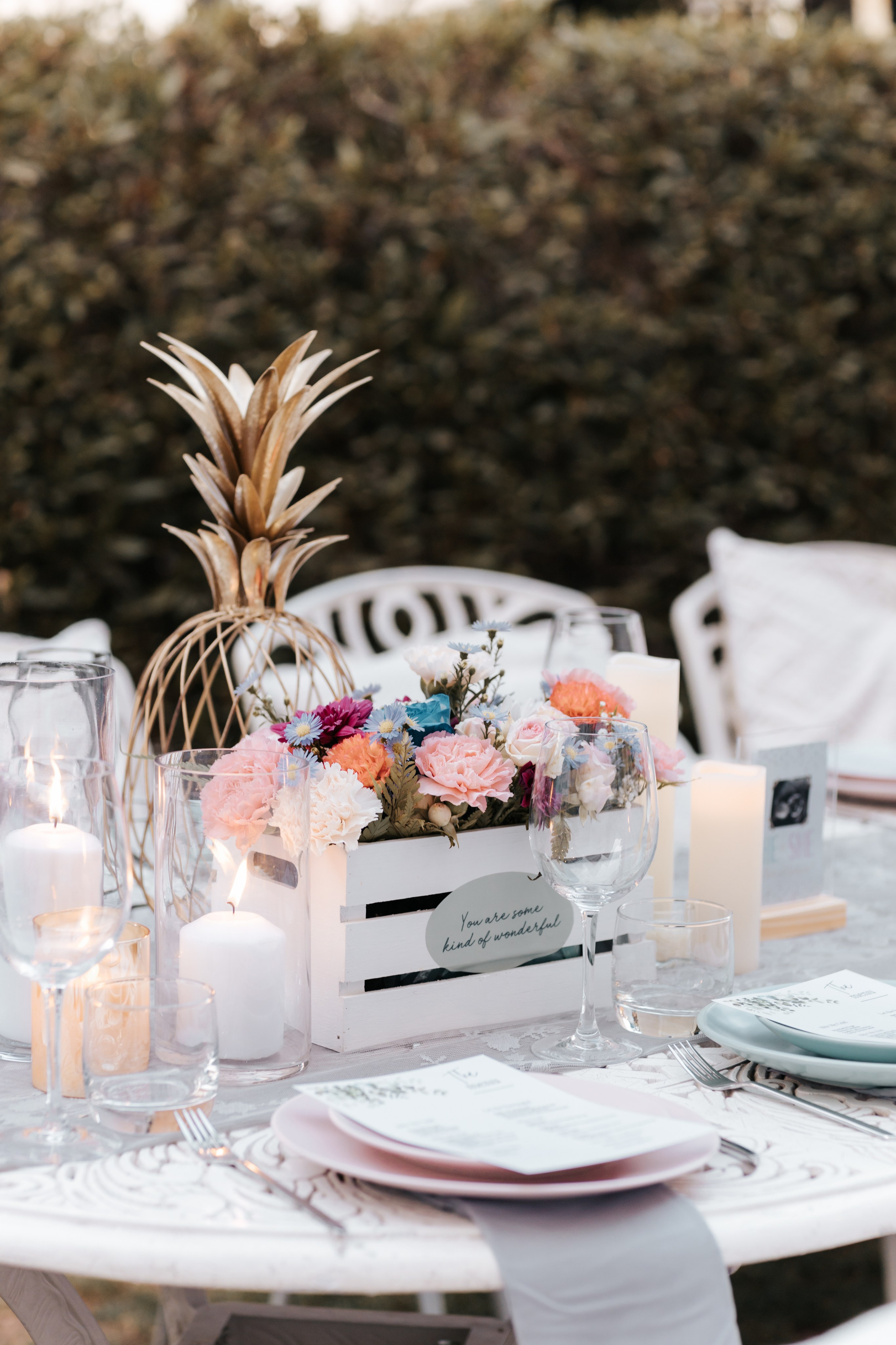 Amrita Gender Reveal