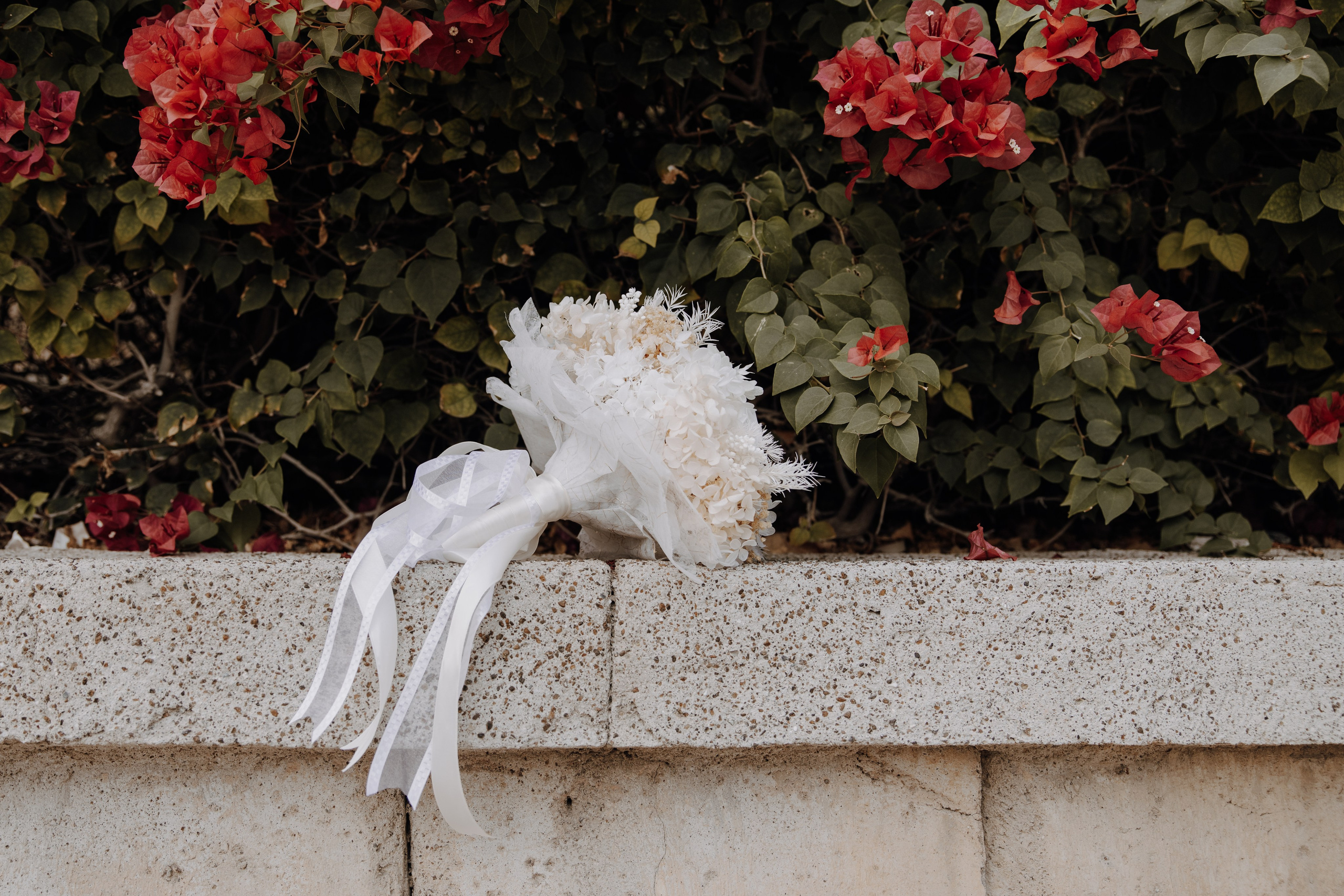 Trisha & Jason Wedding