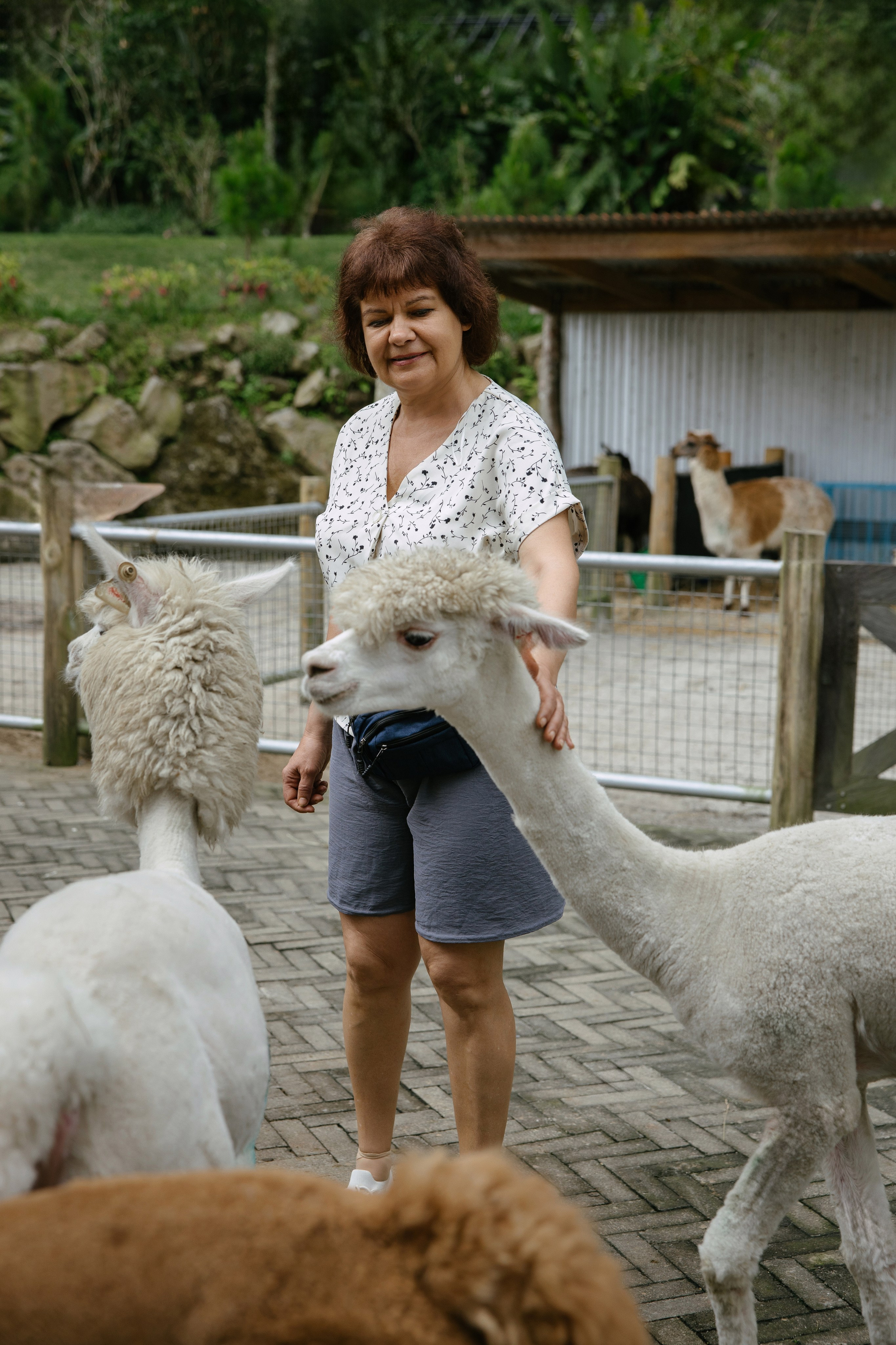 North trip. Профессиональный фотограф Нурмиева Вероника