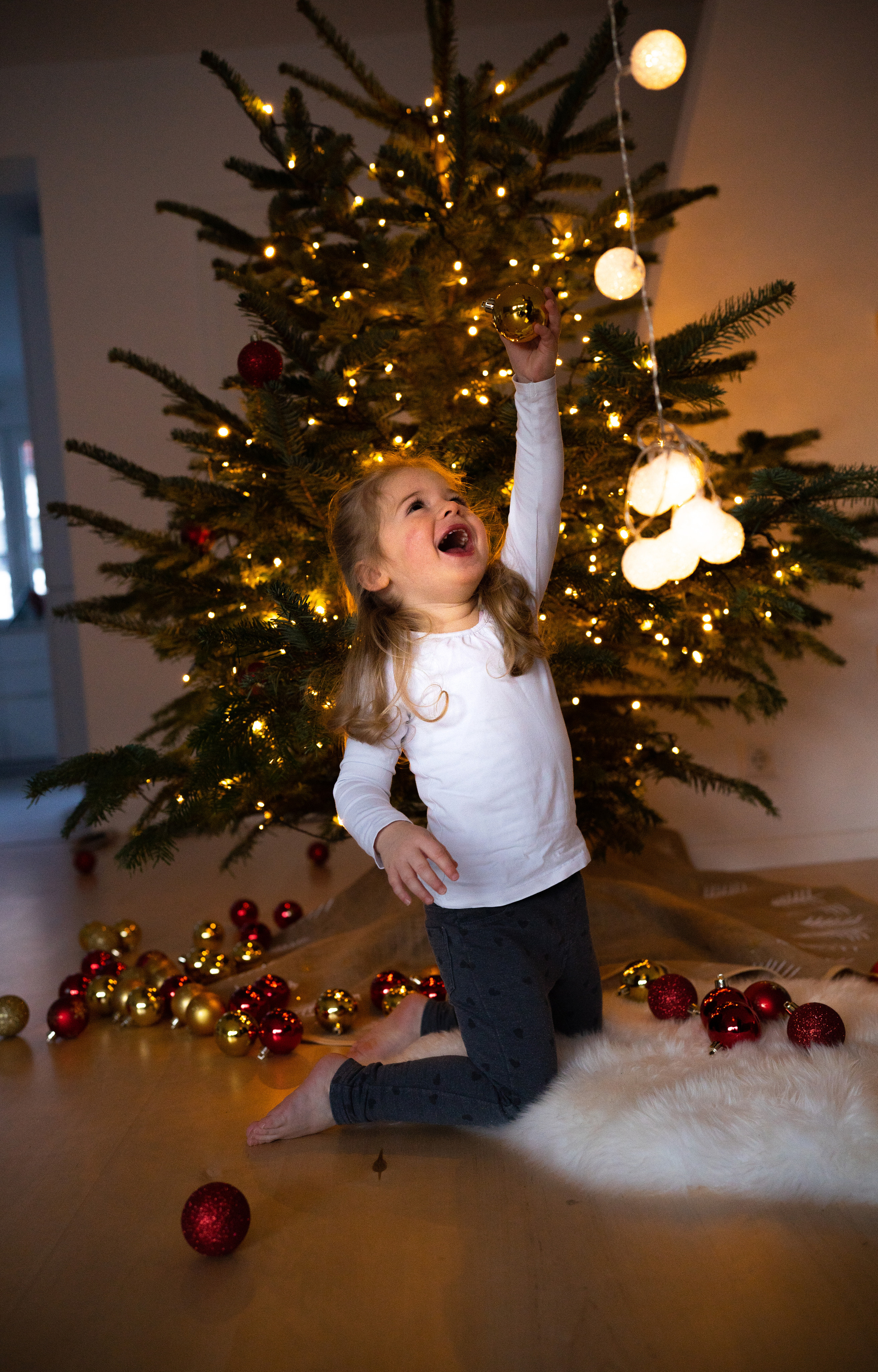 Weihnachten. Kateryna Lapina-Dietrich Fotografie