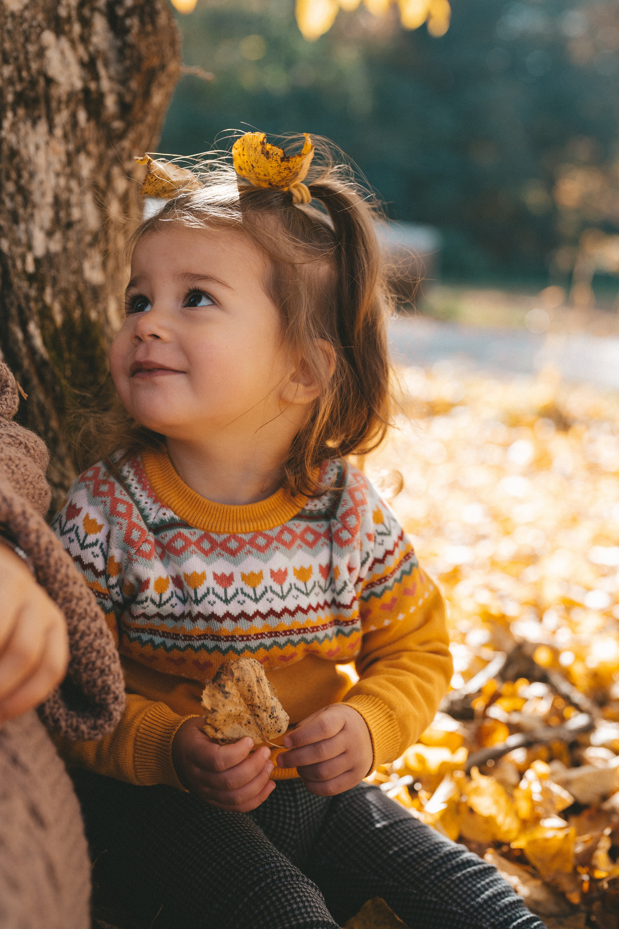 Familien/in der Natur. Kateryna Lapina-Dietrich Fotografie