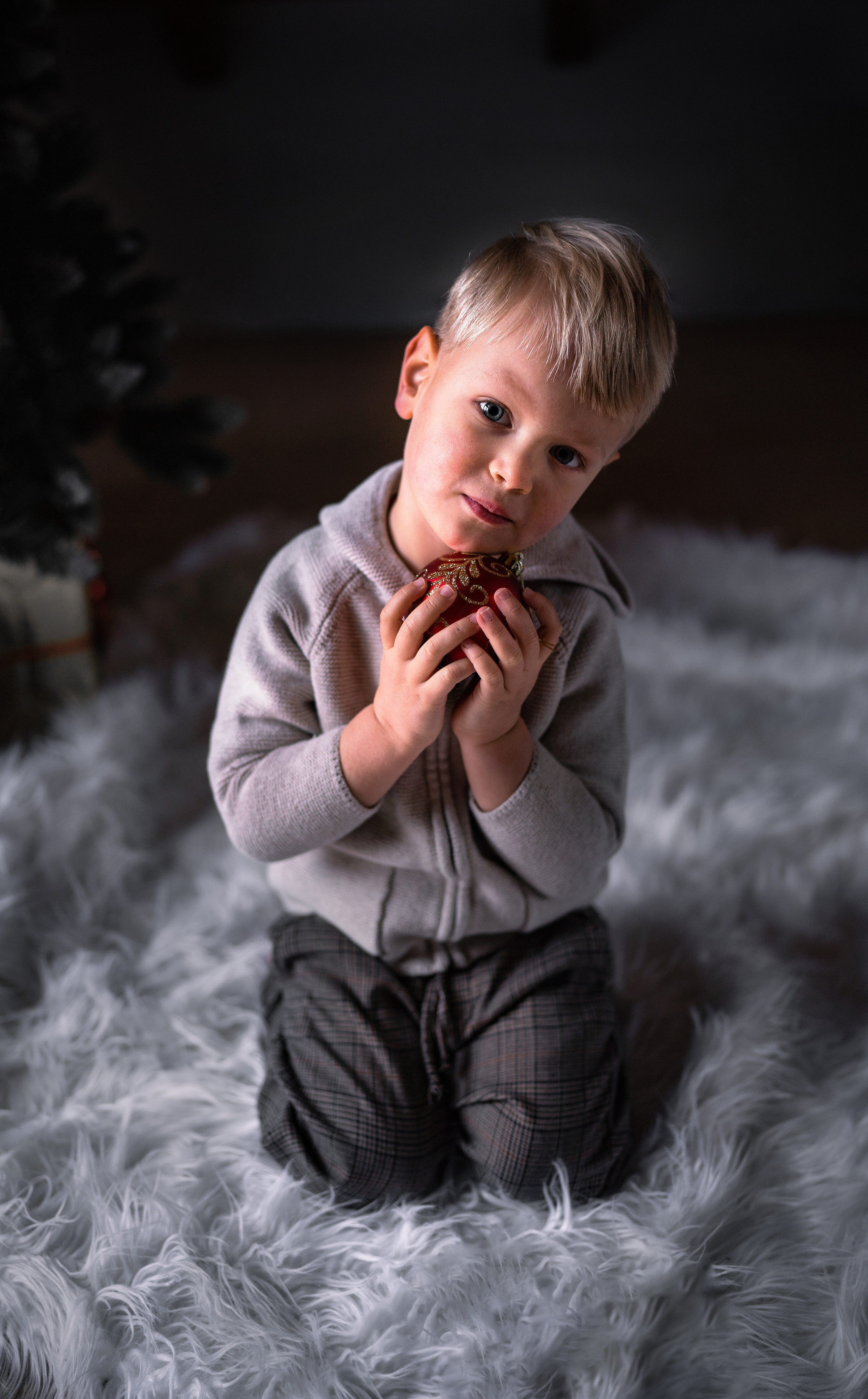 Weihnachten. Kateryna Lapina-Dietrich Fotografie