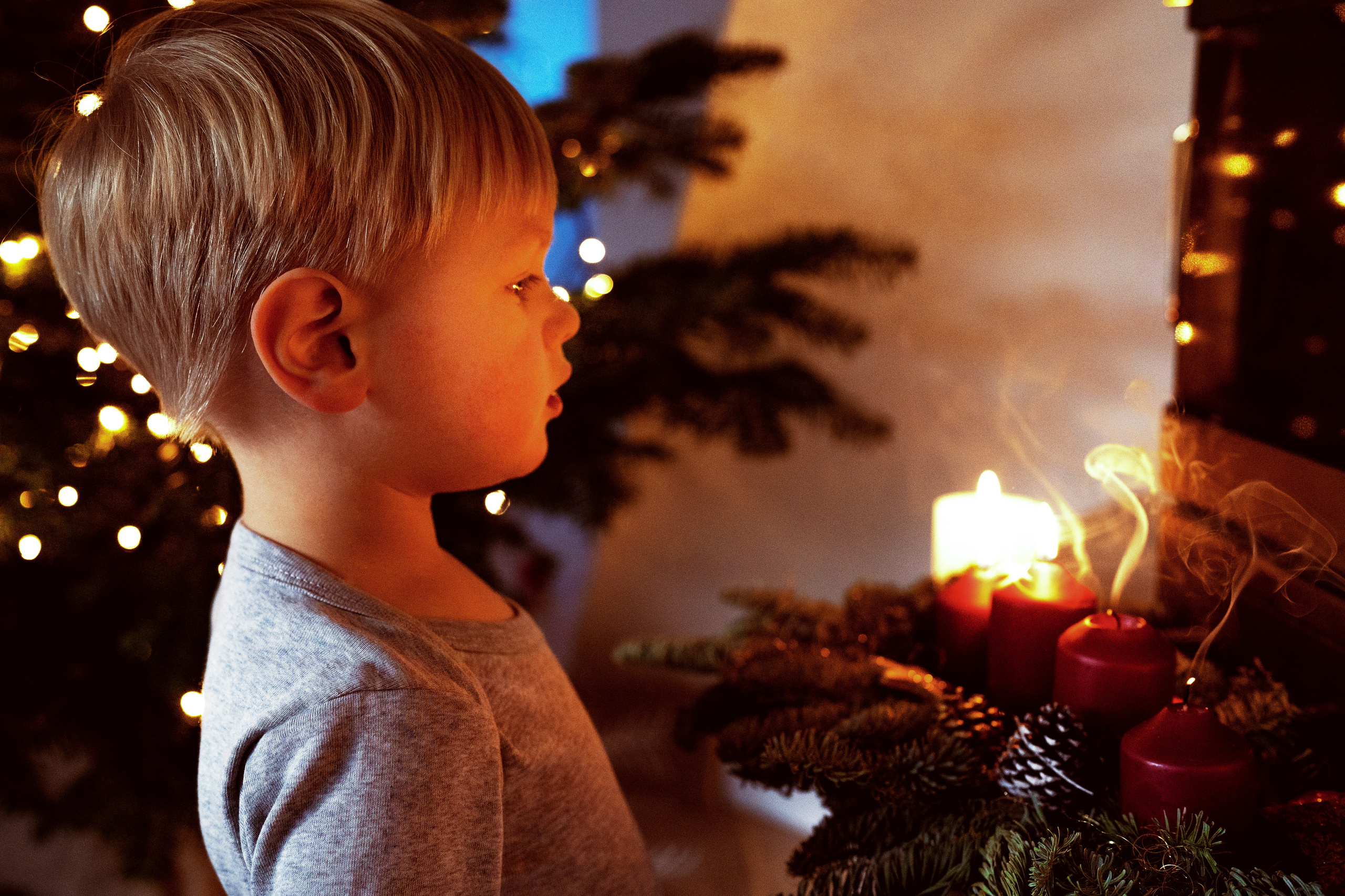 Weihnachten. Kateryna Lapina-Dietrich Fotografie