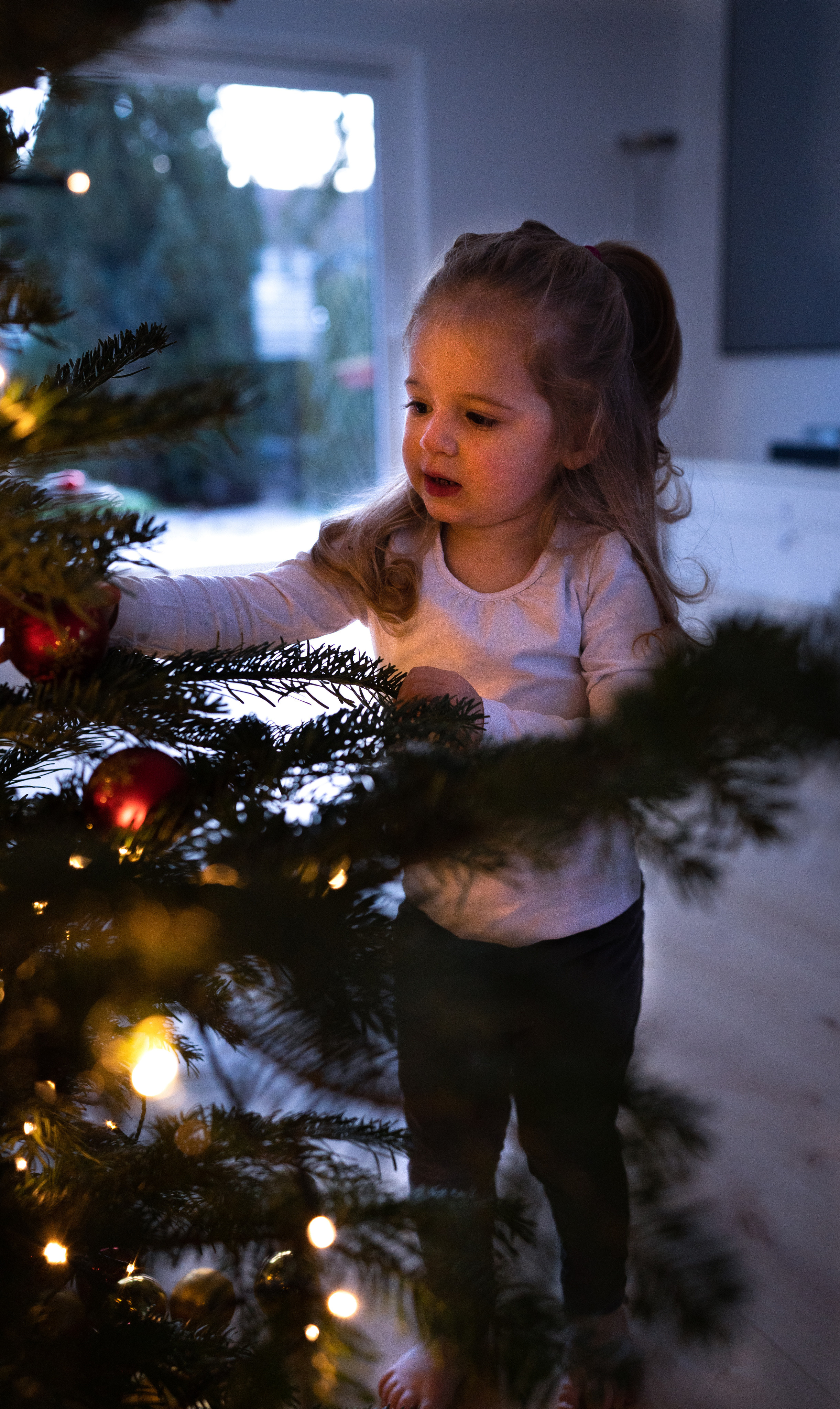 Weihnachten. Kateryna Lapina-Dietrich Fotografie
