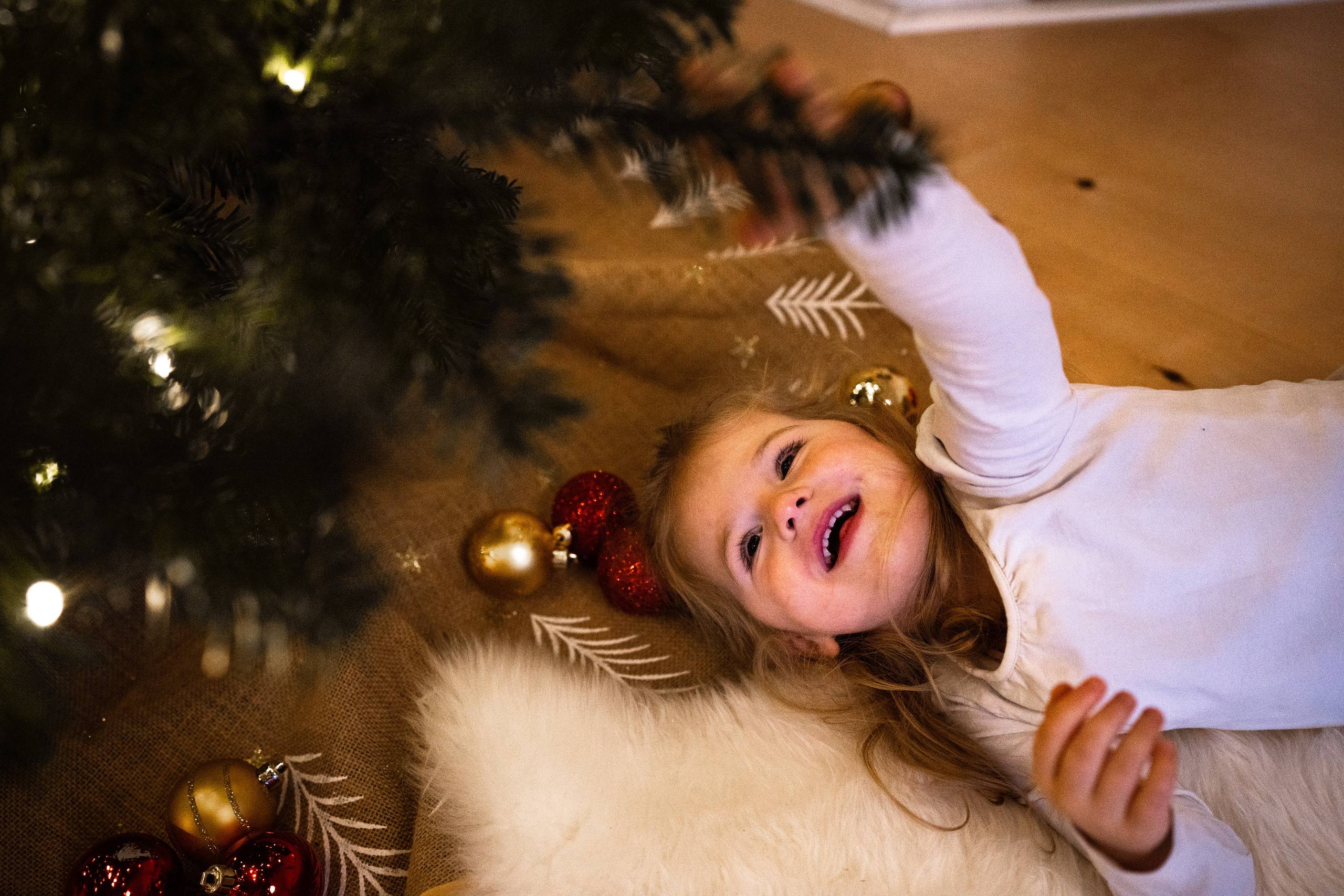 Weihnachten. Kateryna Lapina-Dietrich Fotografie