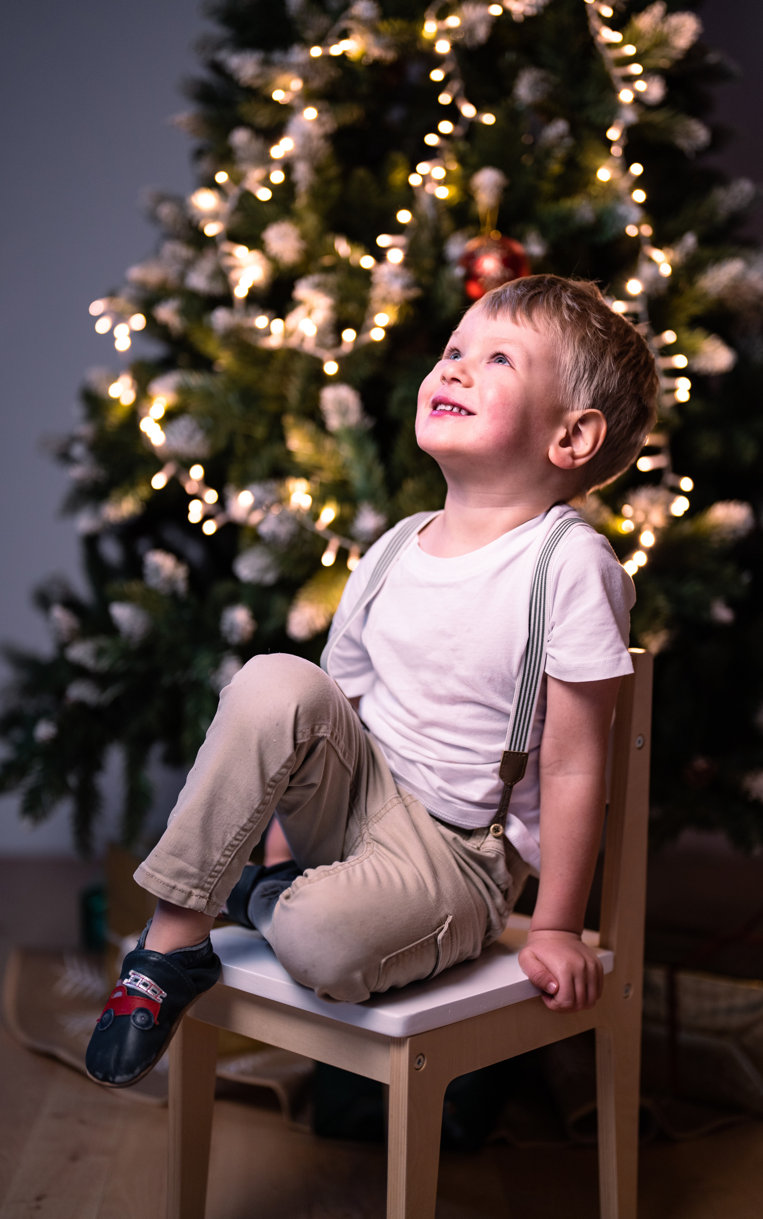Weihnachten. Kateryna Lapina-Dietrich Fotografie