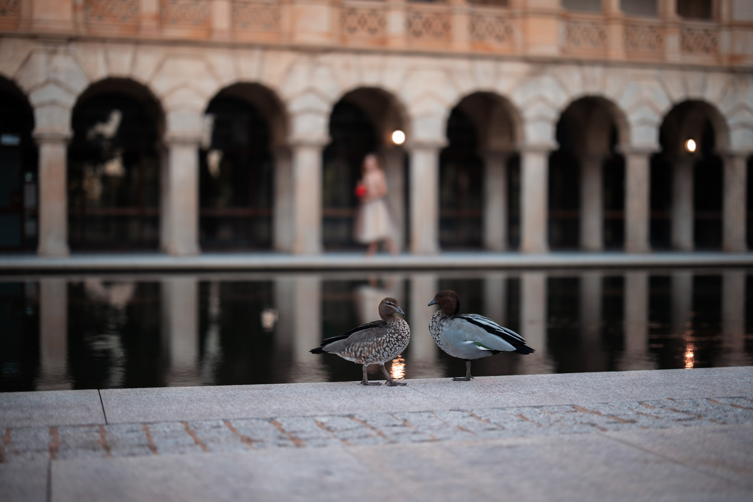 Irina Santos Photography