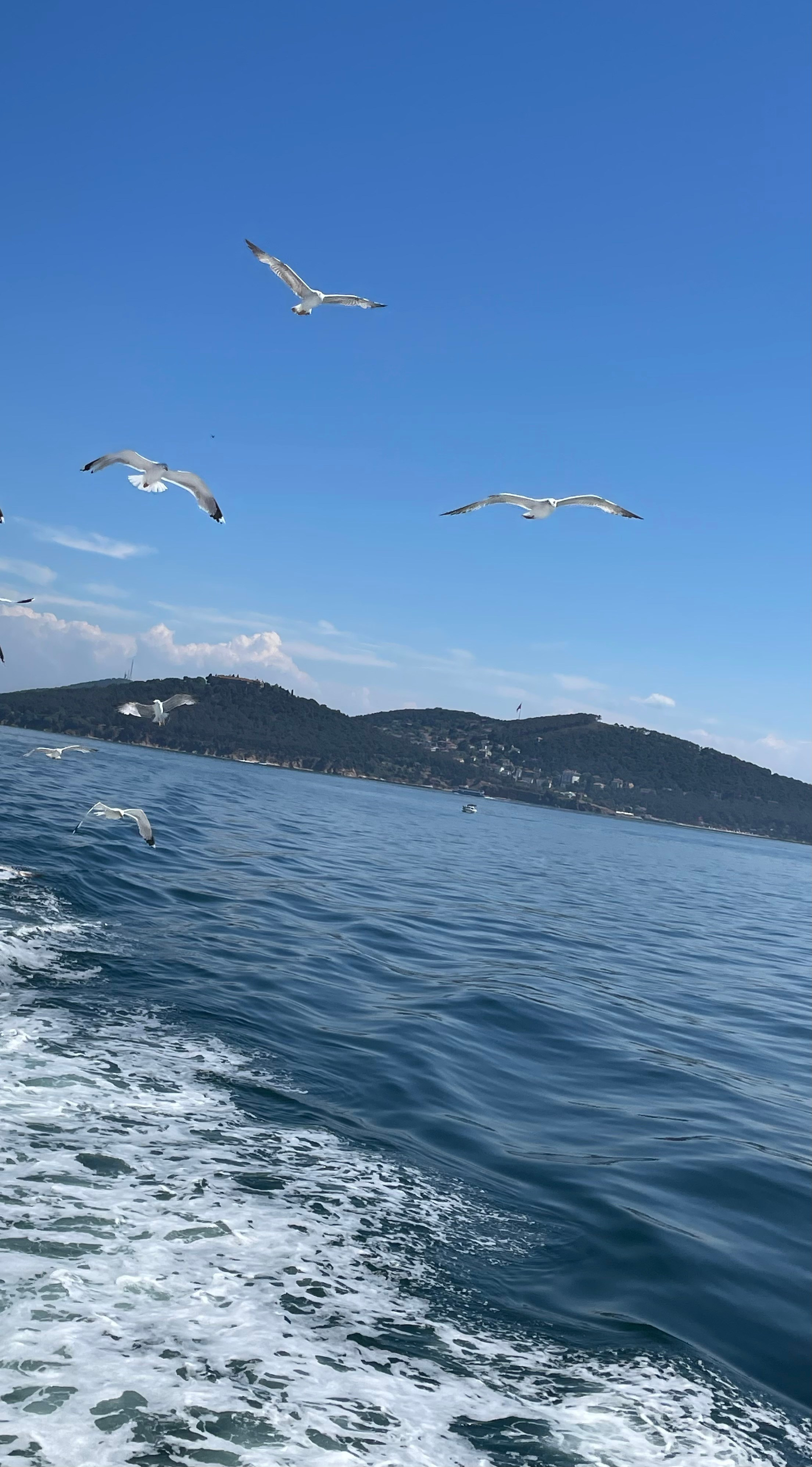 Отзывы. Lavi de Rêve (travel)