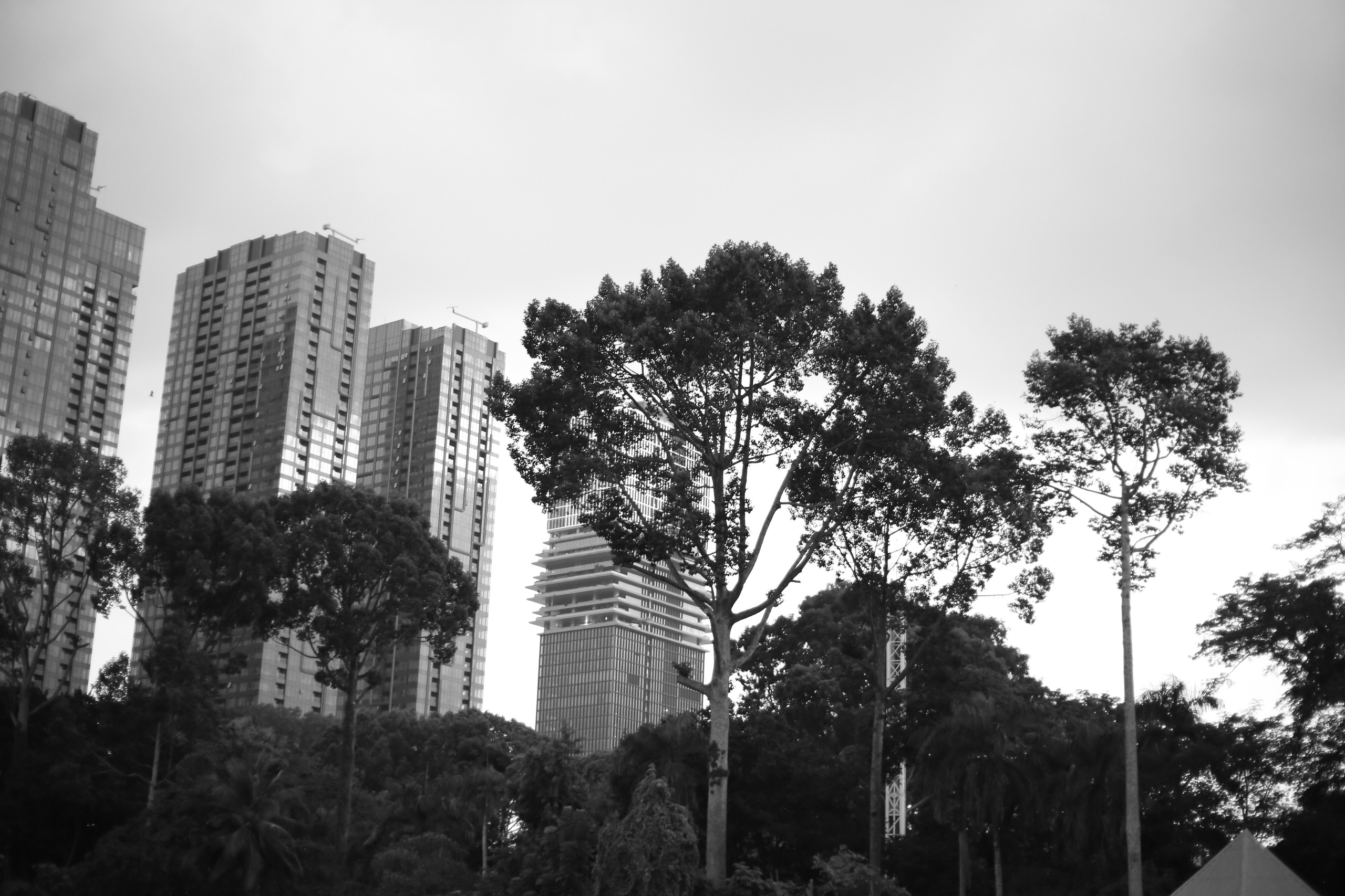 Ho Chi Minh, Vietnam | Part 2| 2025. Art Photographer