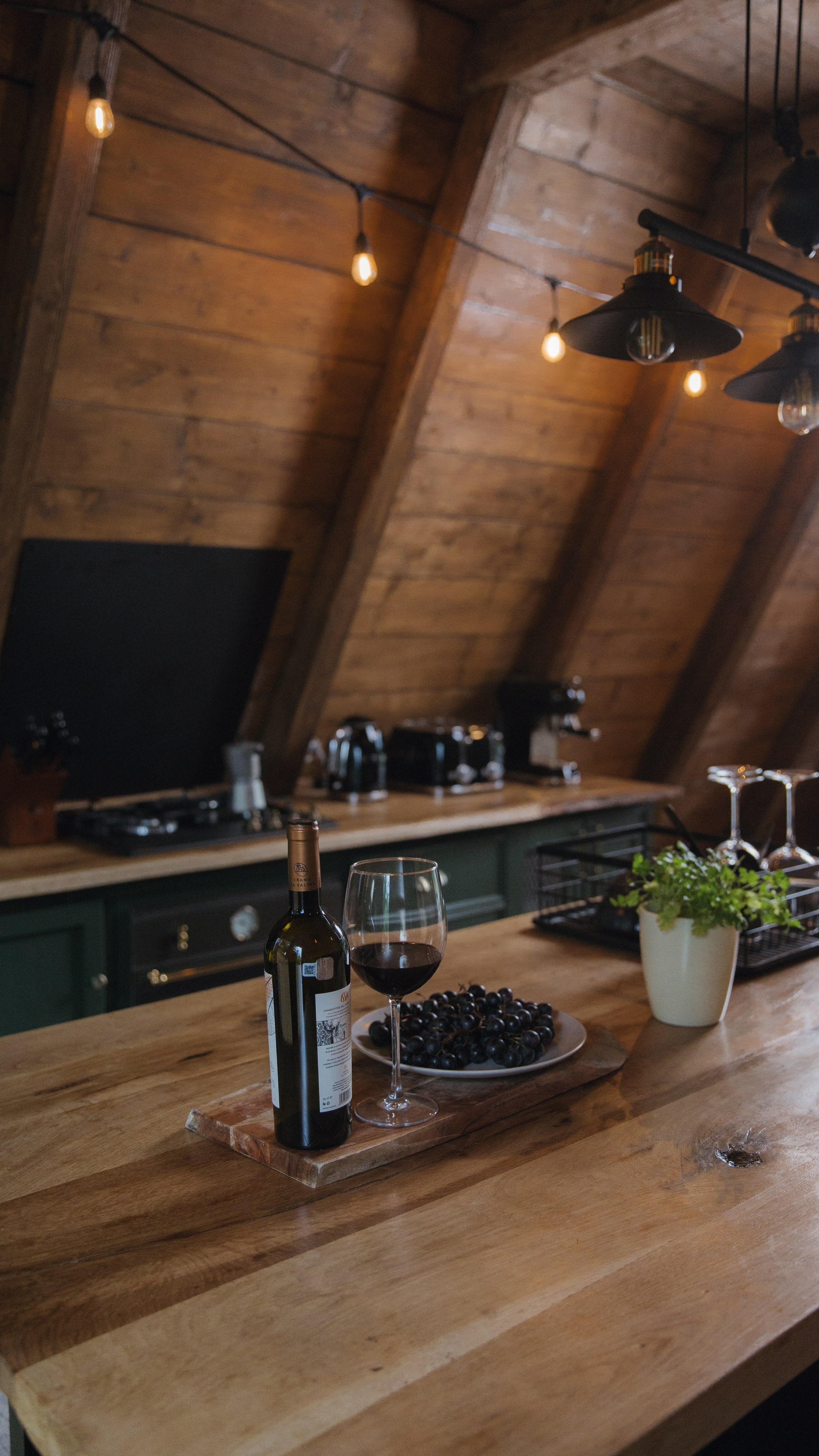 Airbnb Photos. Patricia Morenci — Mountain Adventures for the Wild at Heart